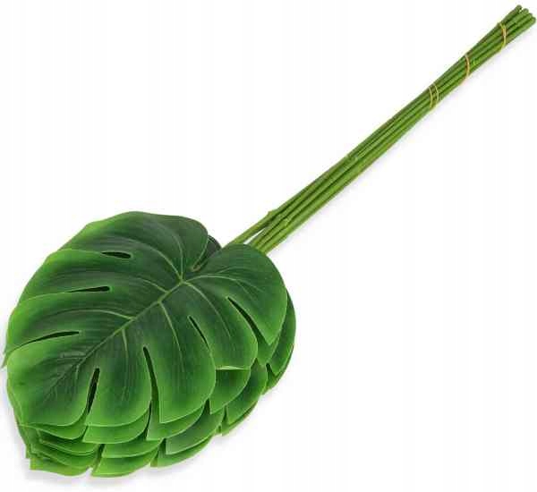 Liść Philo LIŚCIE filodendron MONSTERA latex green Marka MyFlowers