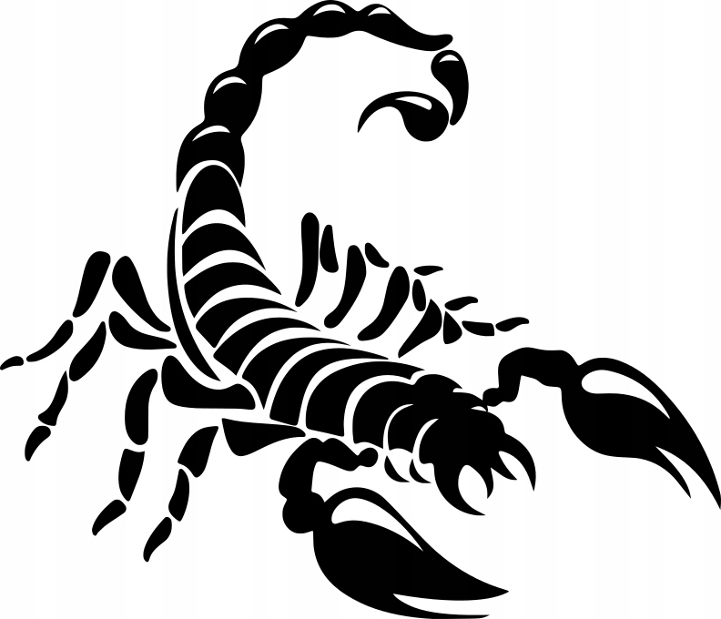

Naklejka Skorpion 16 X 18,6 CM