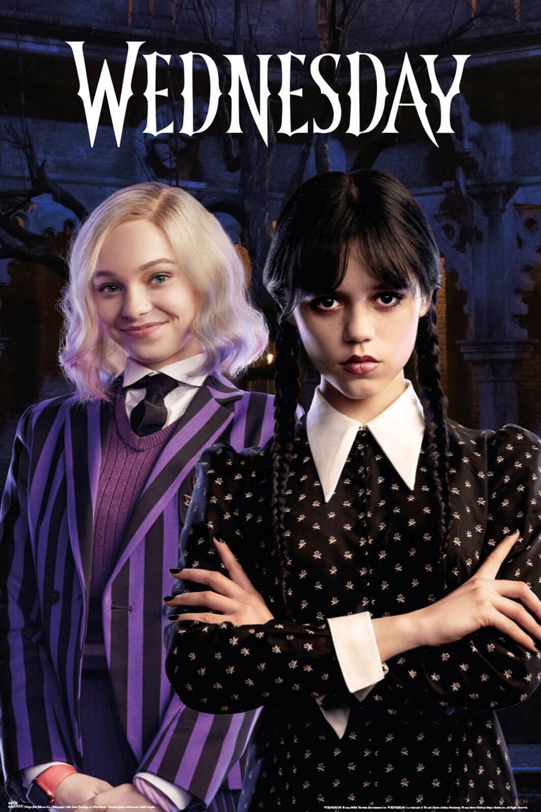 Plakat filmowy Wednesday Enid oryginalny 61x91,5
