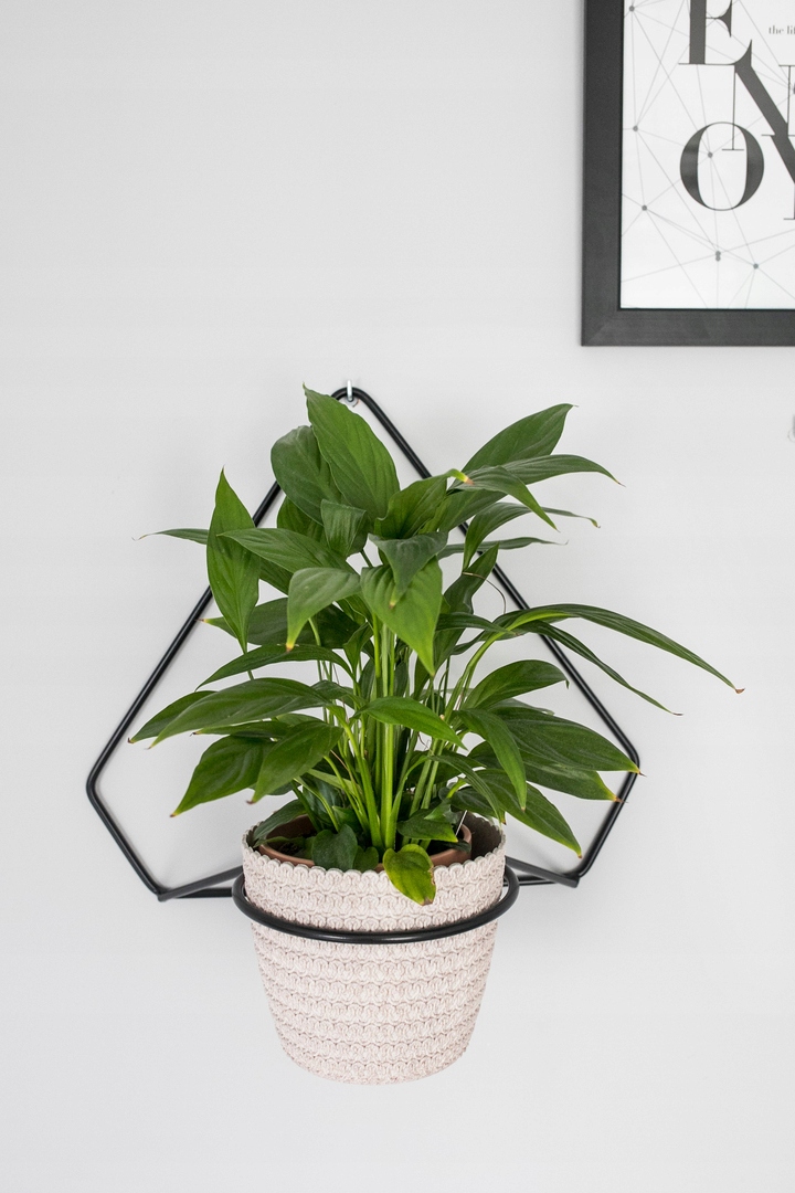 KWIETNIK ŚCIENNY, KWIETNIK NA ŚCIANĘ - DIAMONT Marka Versanis