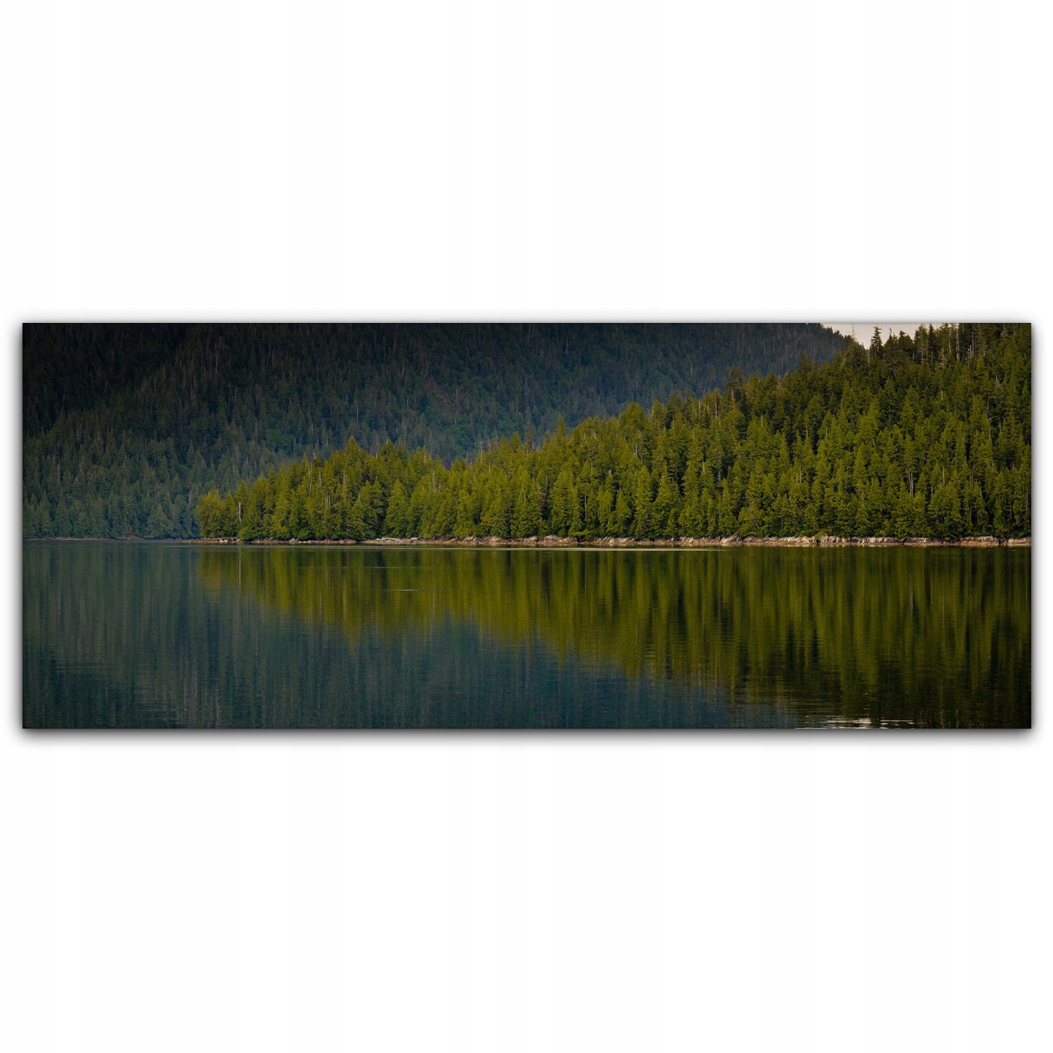 

Obraz canvas na ścianę 125x50 Alaska Jezioro Las
