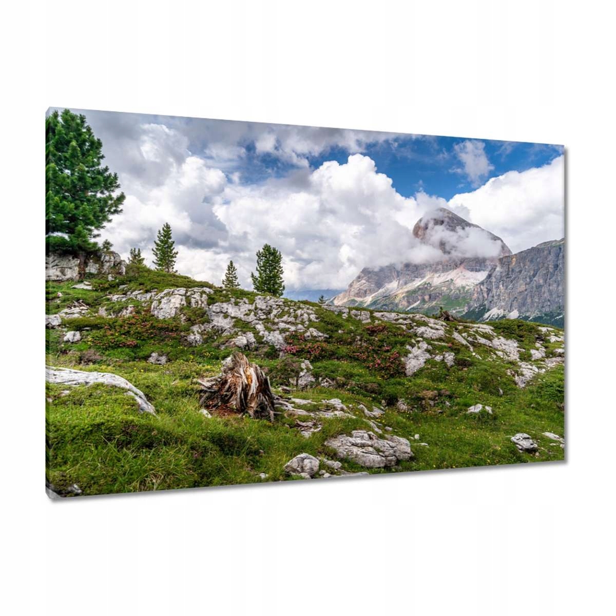Obrazy 120x80 Horský pohled Krajina