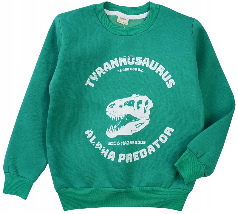 

Bluza ciepła gruba Zielona dinozaur 122 H220E