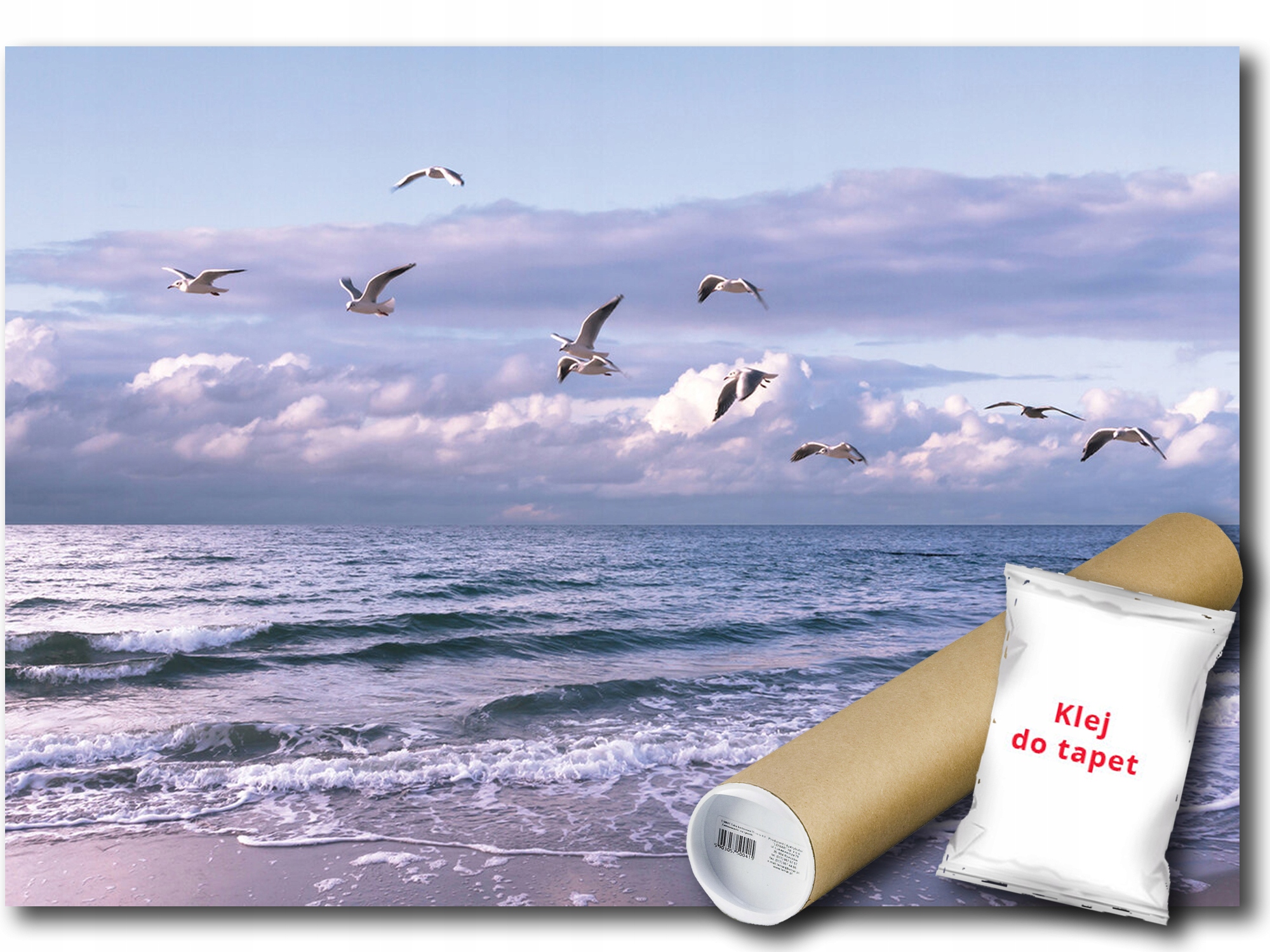 Fototapeta Vinylová Pláž More Vlny Vtáky Mava Pohľad Krajina 312x219