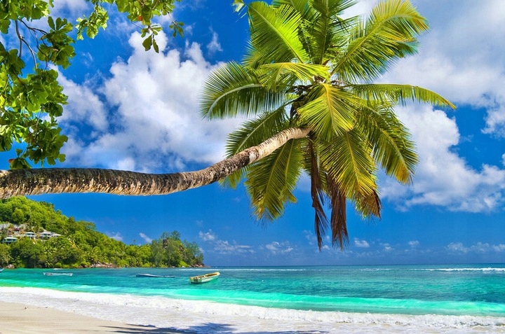 PERFUMY MĘSKIE CALVIN KLEIN TRUTH 100 ML. ORYGINAŁ Marka Calvin Klein