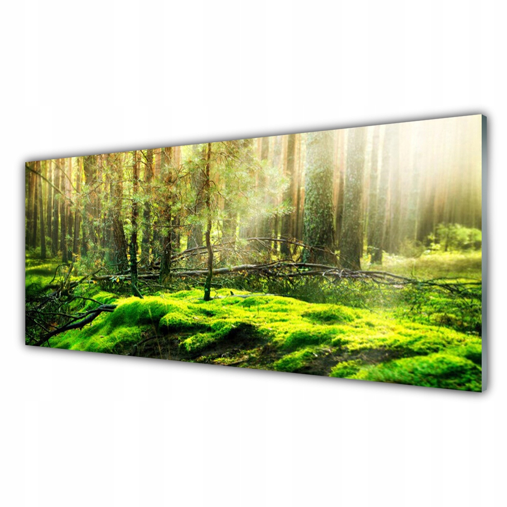 

Obraz na ścianę ścienny 125x50 cm Mech Las Natura
