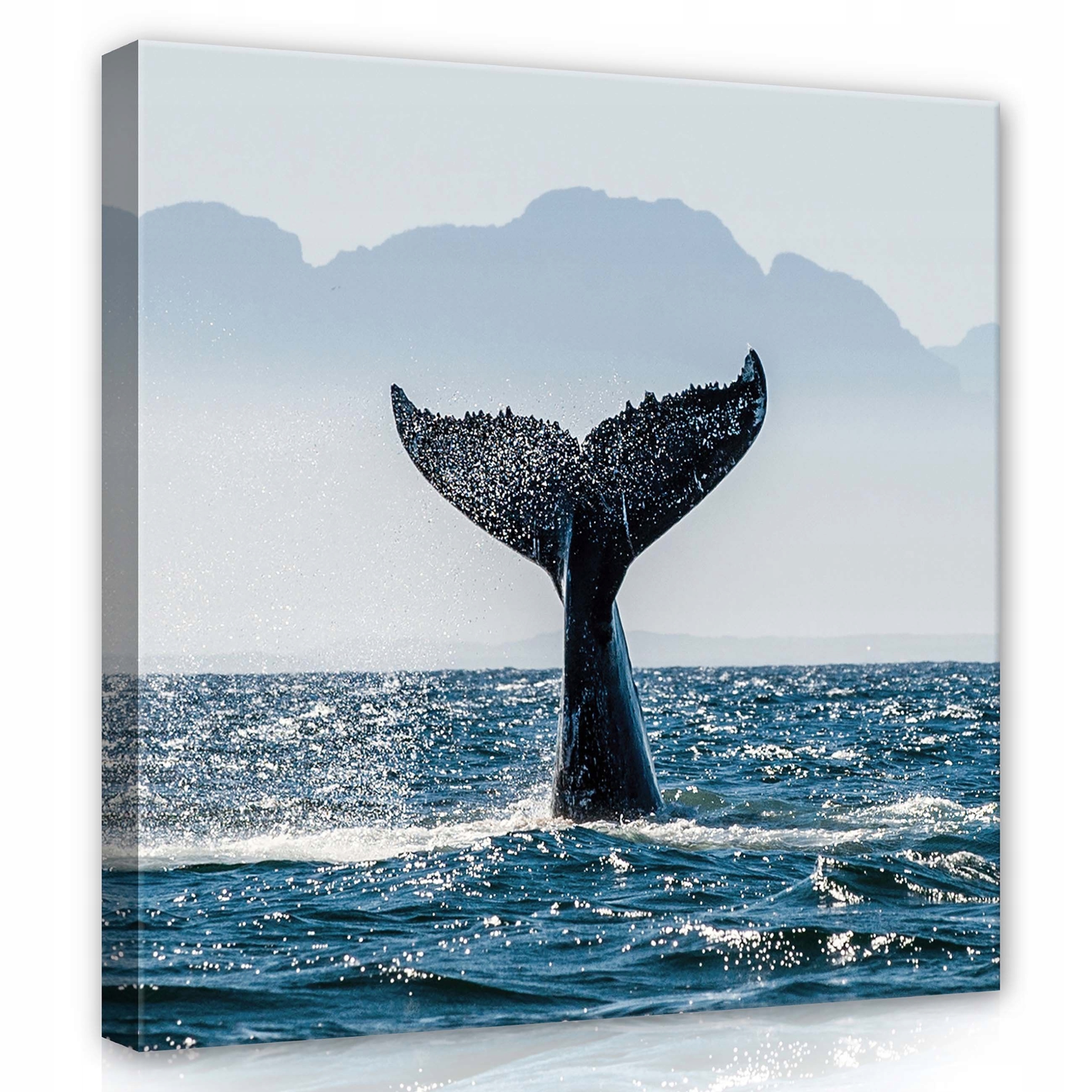 Obraz 80x80 Ocas velryby oceán moře stříkající vlny příroda klid prostor