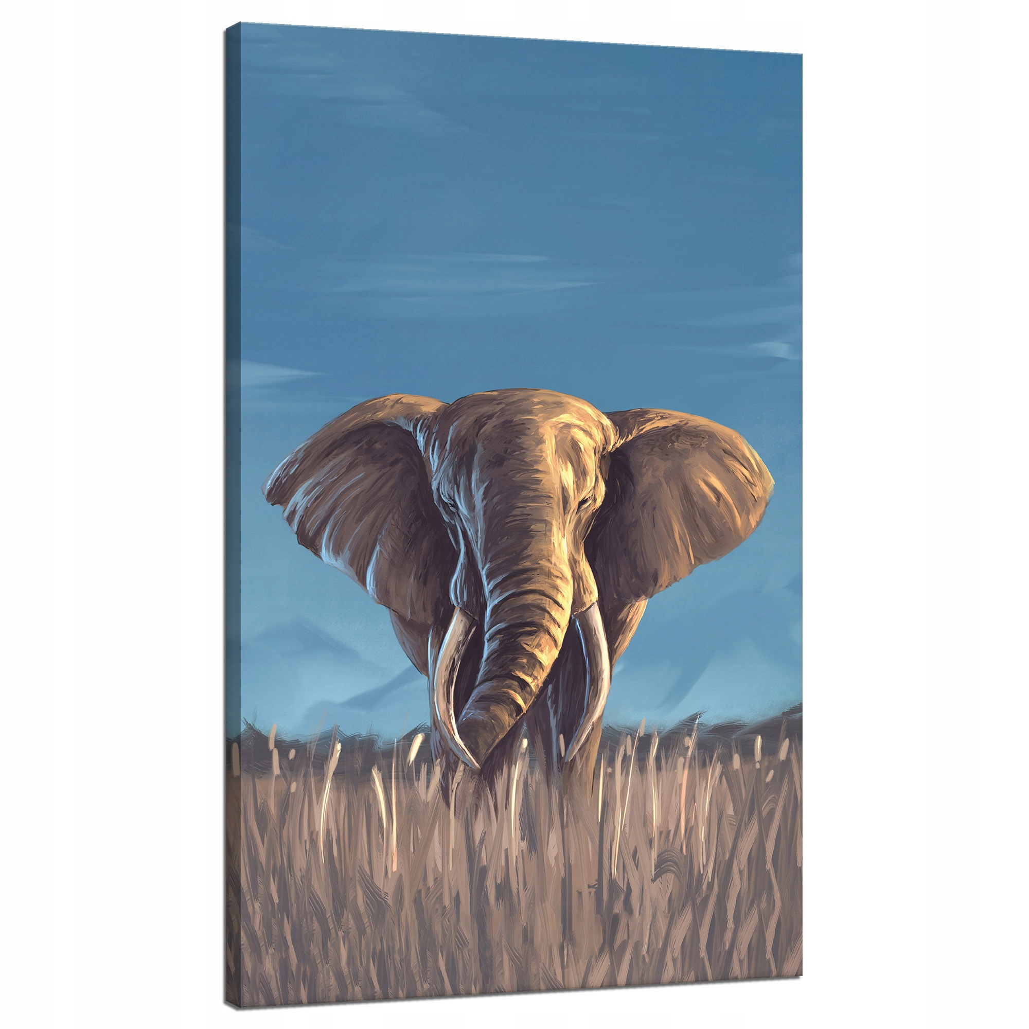 Obraz na plátně Olejomalba Šedý styl Velký slon 70x120 cm Ideální jako dárek