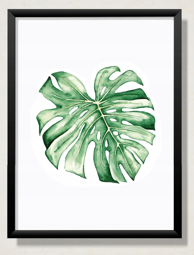 Plakat obraz na ścianę 50x70 BANANOWIEC Format papieru B2