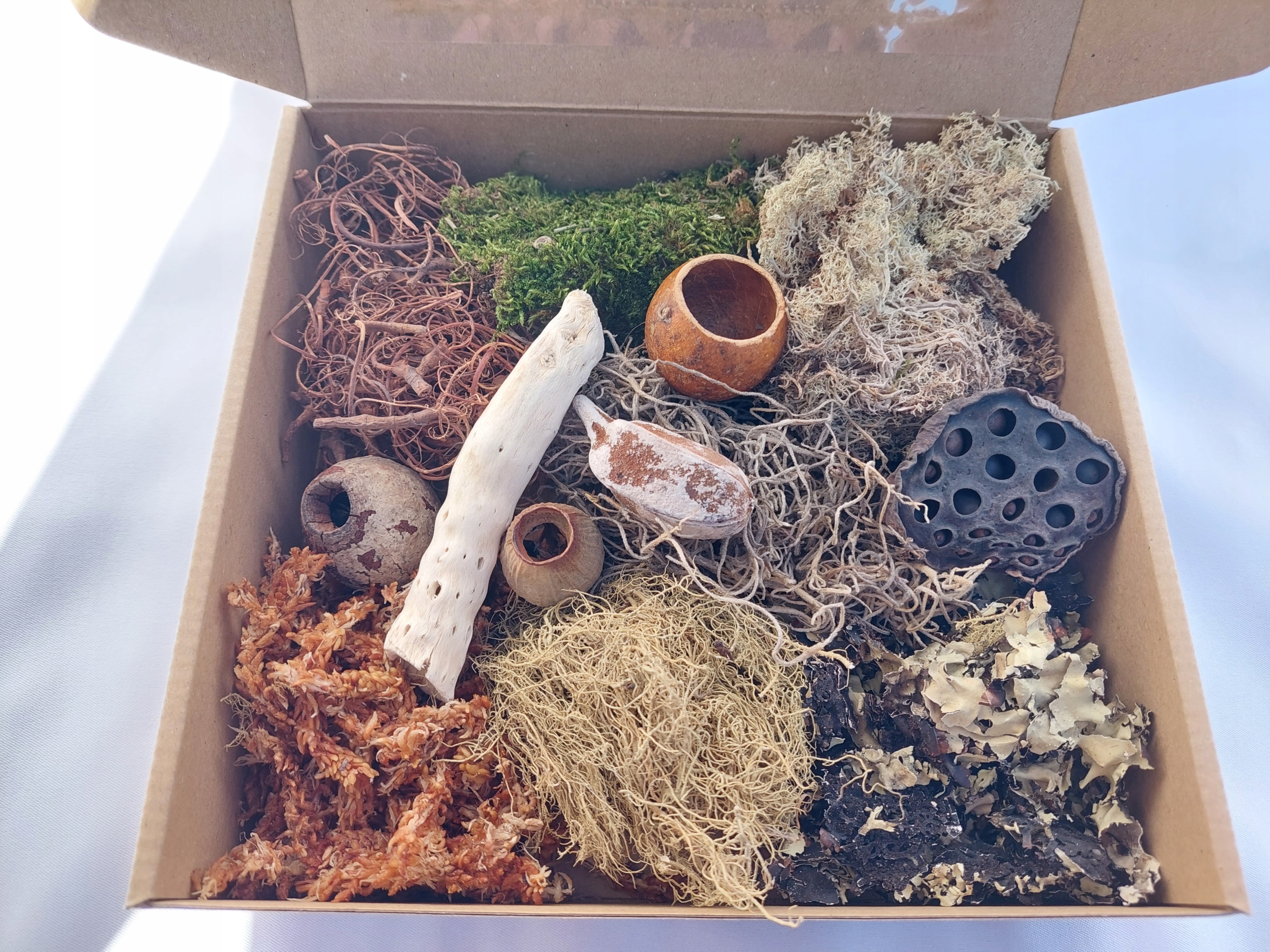 

Zestaw dekoracji terrarium duża paka 20x20x5 nr1