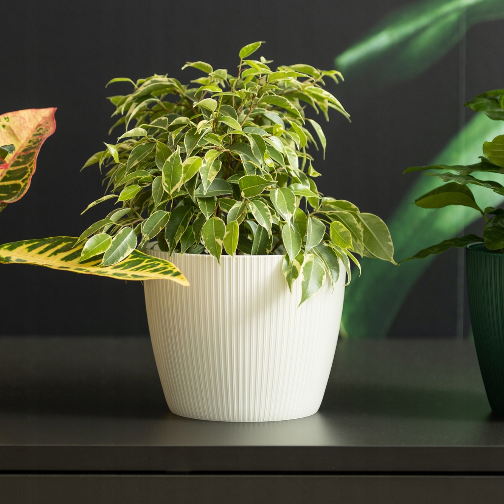 DONICZKA DONICA OSŁONKA MAGNOLIA JUMPER ECO RECYCLED 160 ANTRACYT Marka Lamela