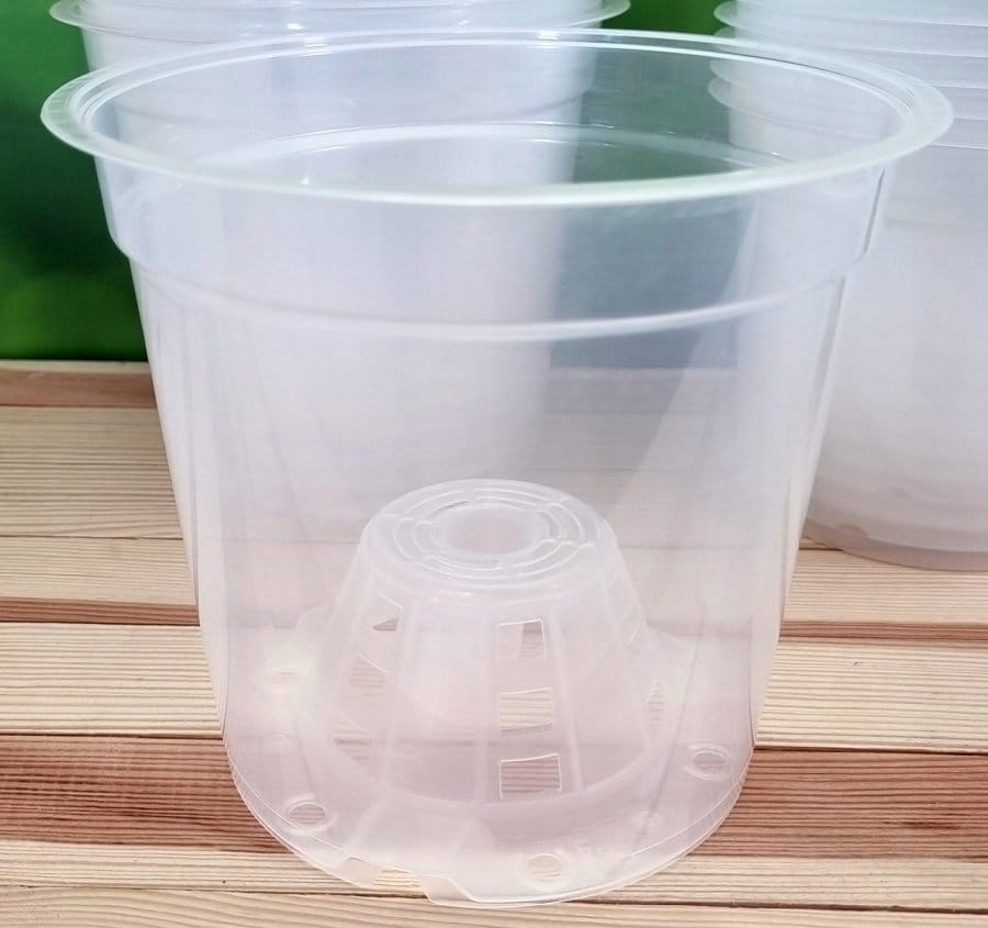 DONICZKI do STORCZYKÓW przeźroczyste 17cm 10szt. Marka inna