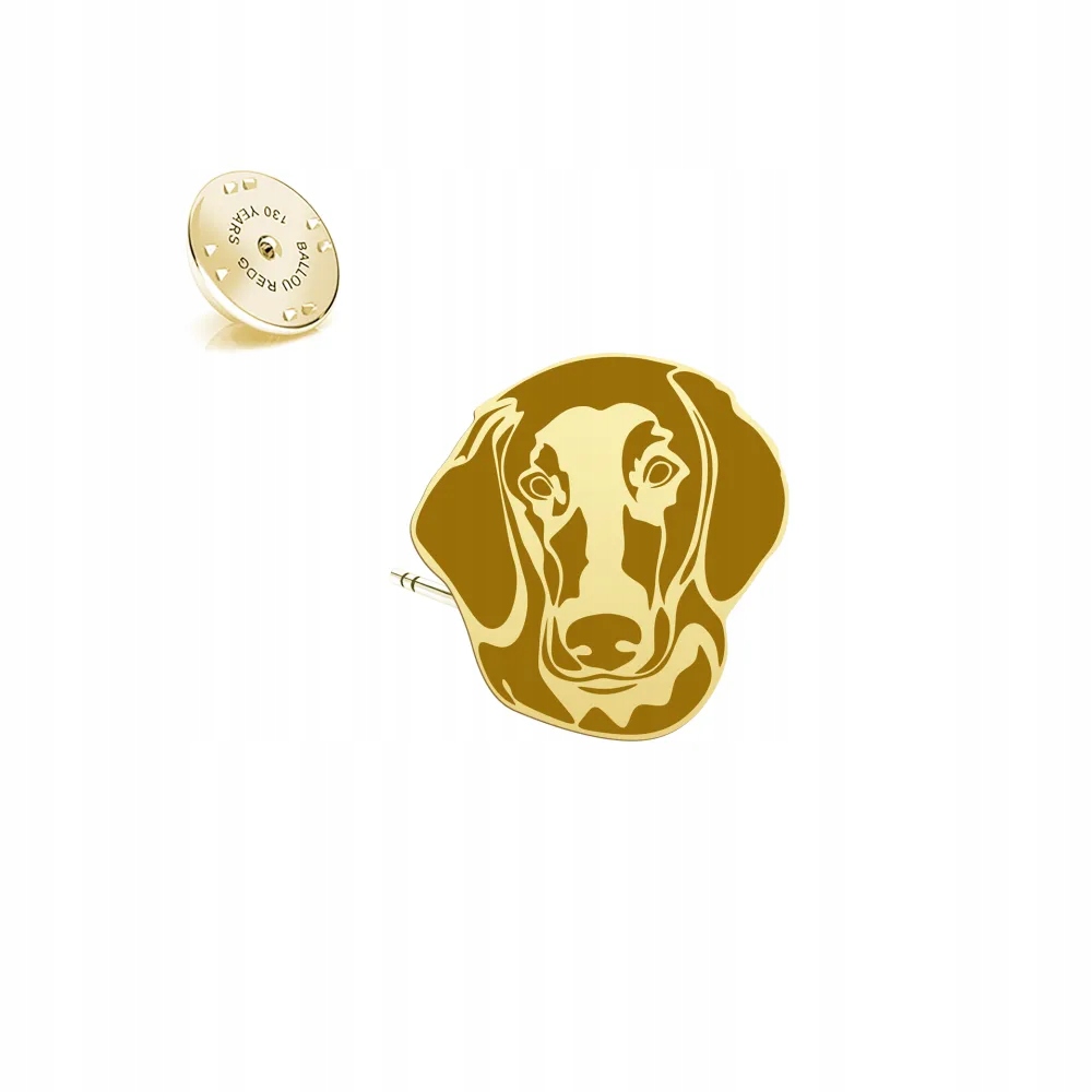 Odznak s psem Flat Coated Retriever 925 Šperky Dedikace Bonus