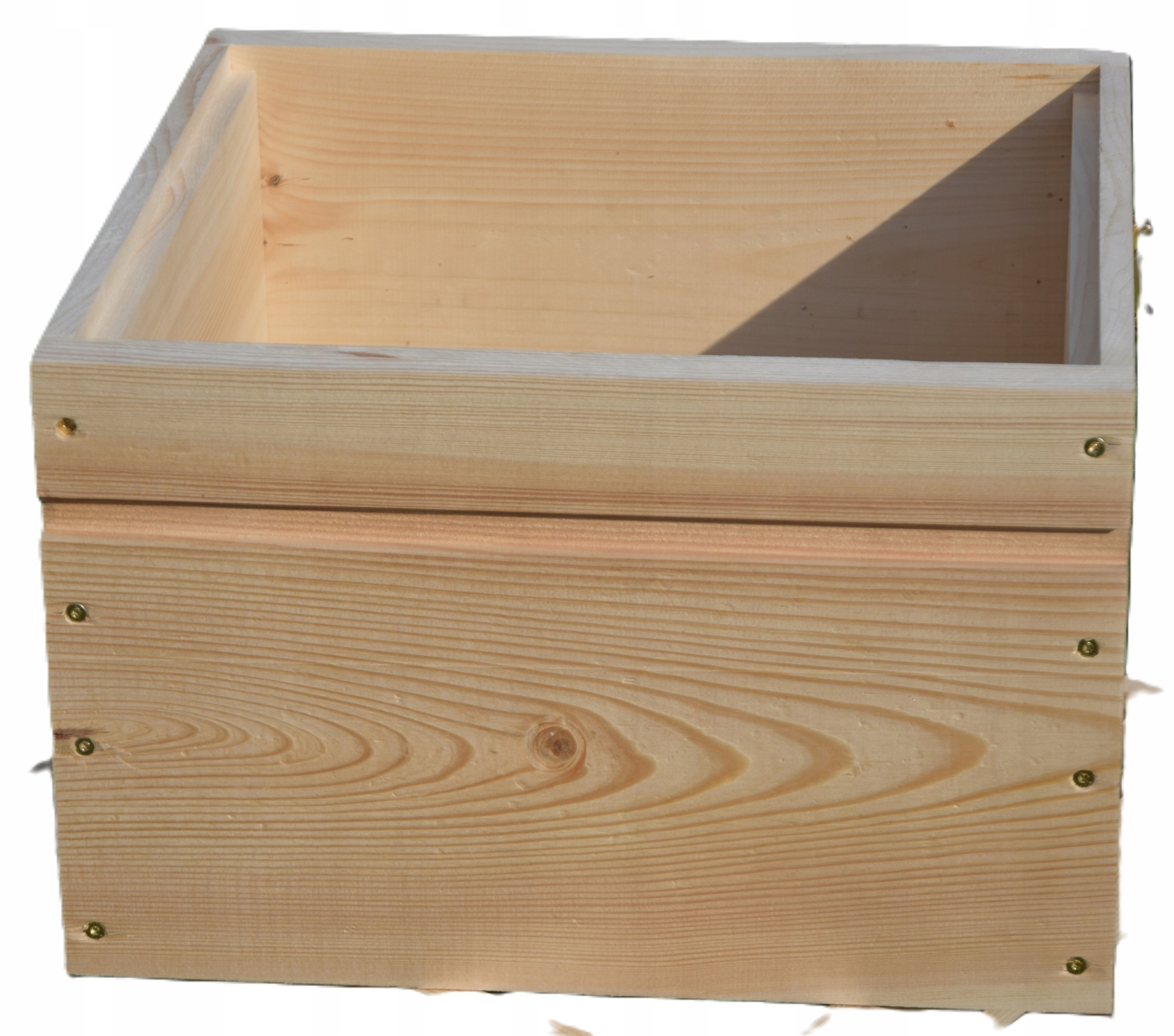 Ul wielkopolski korpus gniazdowy