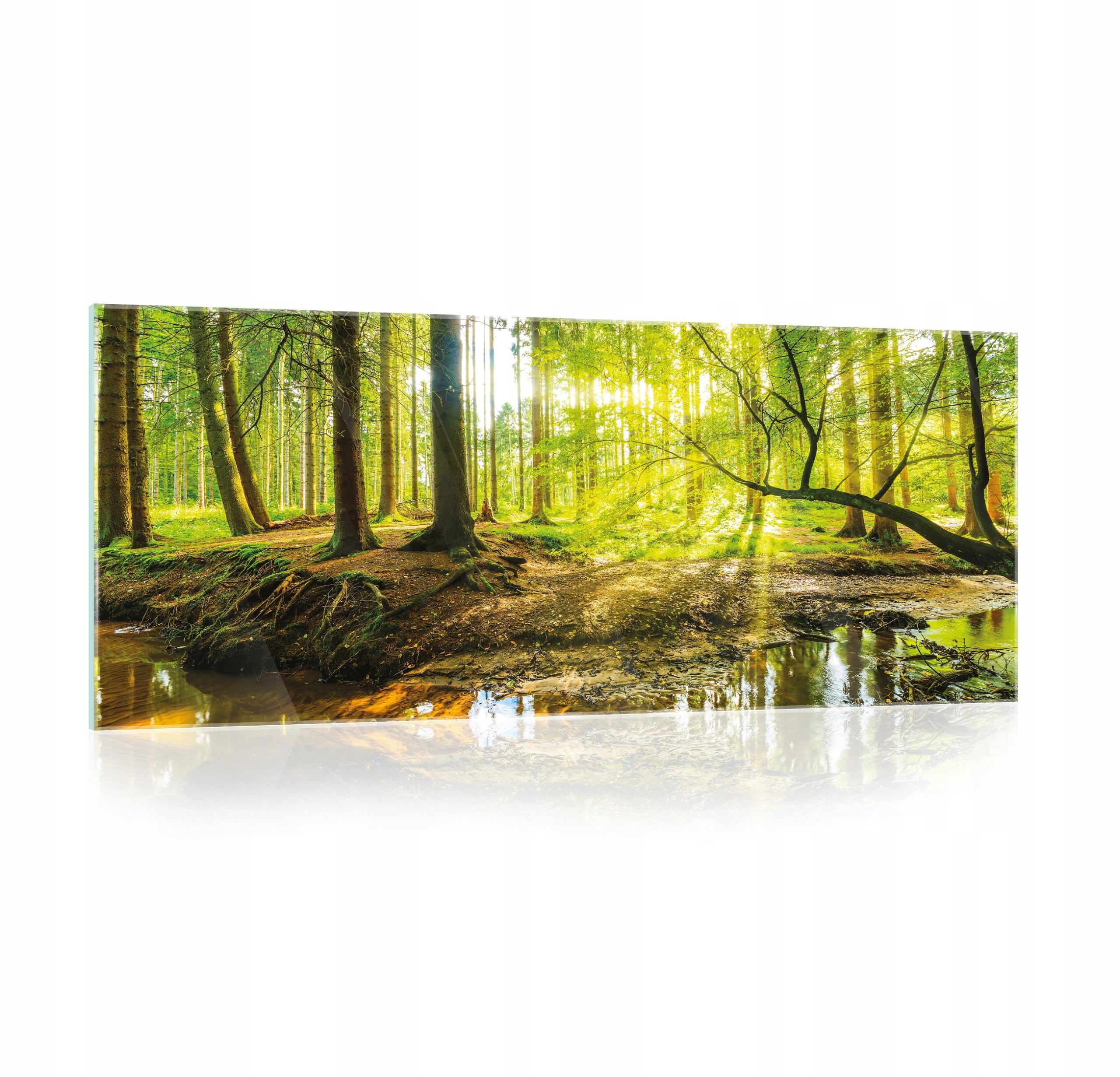 Obraz Na Skle Sklený Les Příroda Pohled Do Koupelny Kuchyně Velký 125x50