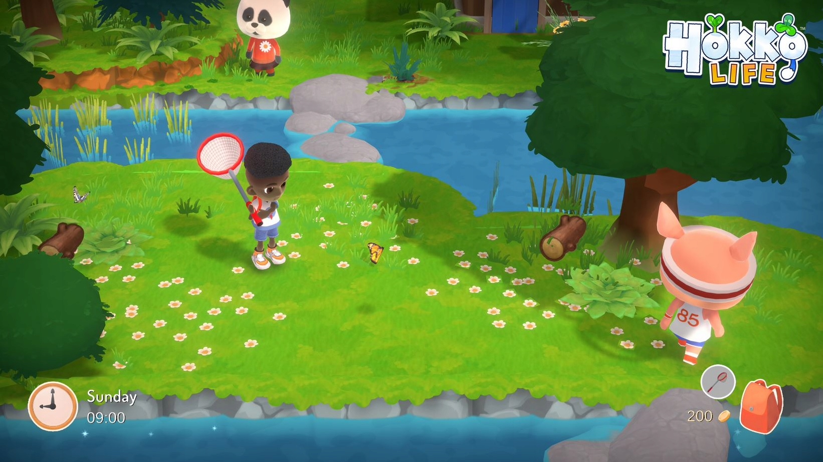 Hokko Life PL XONE XBOX XSX Platforma Xbox One