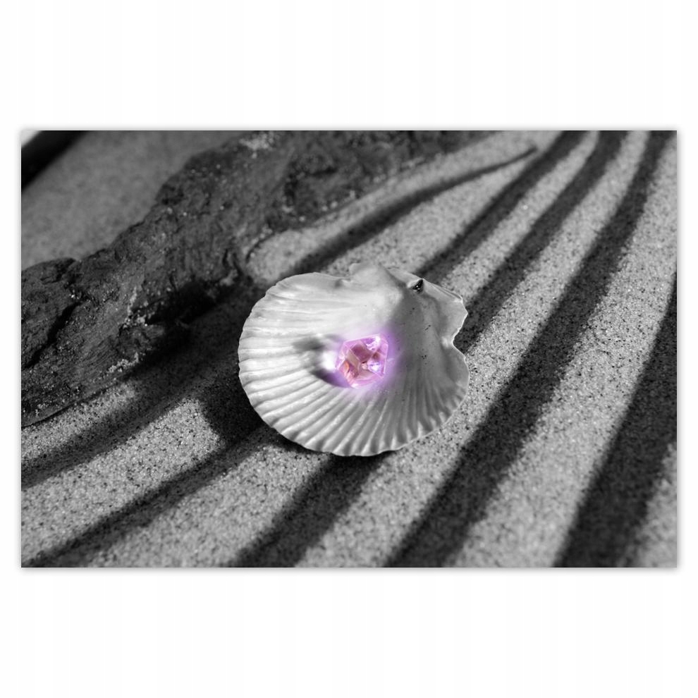 

Plakat 93x62 Muszelka i koralik Piasek