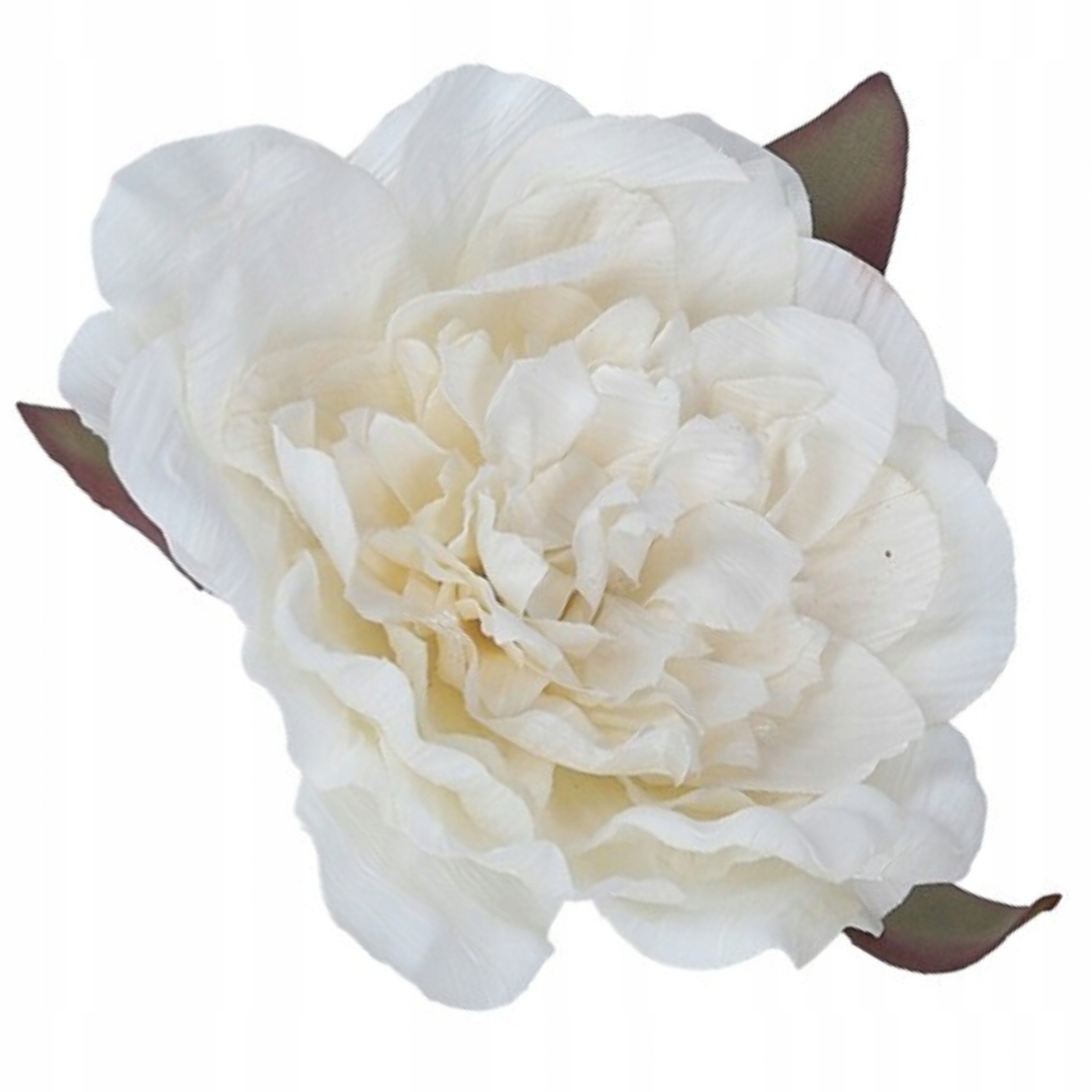 

[w04106] Róża kameliowa 10cm z listkami kremowa