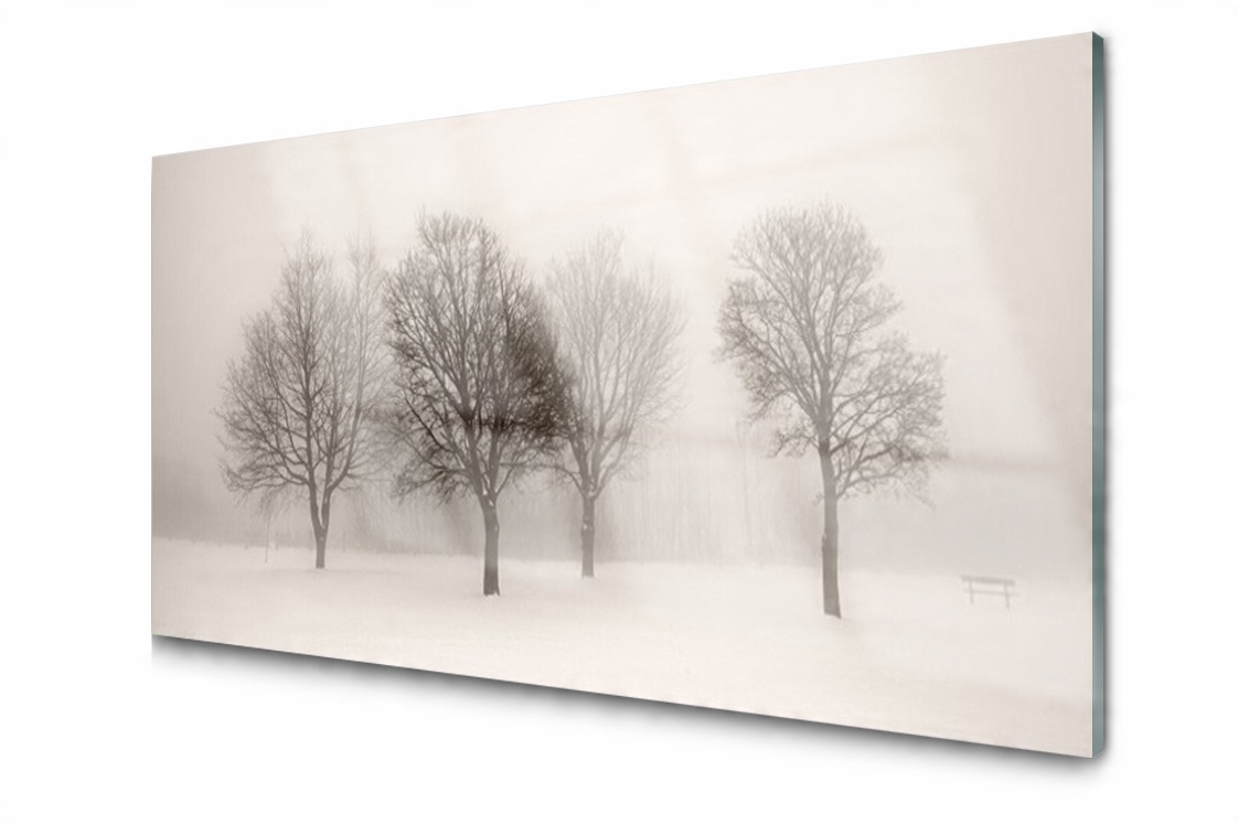

Panel szklany Płytka Śnieg Drzewa 120x60 + Klej