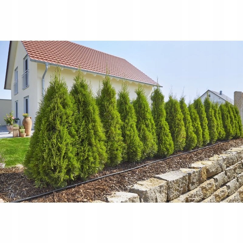 Gardena Micro-Drip-System linia kroplująca do rzędów roślin zestaw L 13013 Długość 50 m