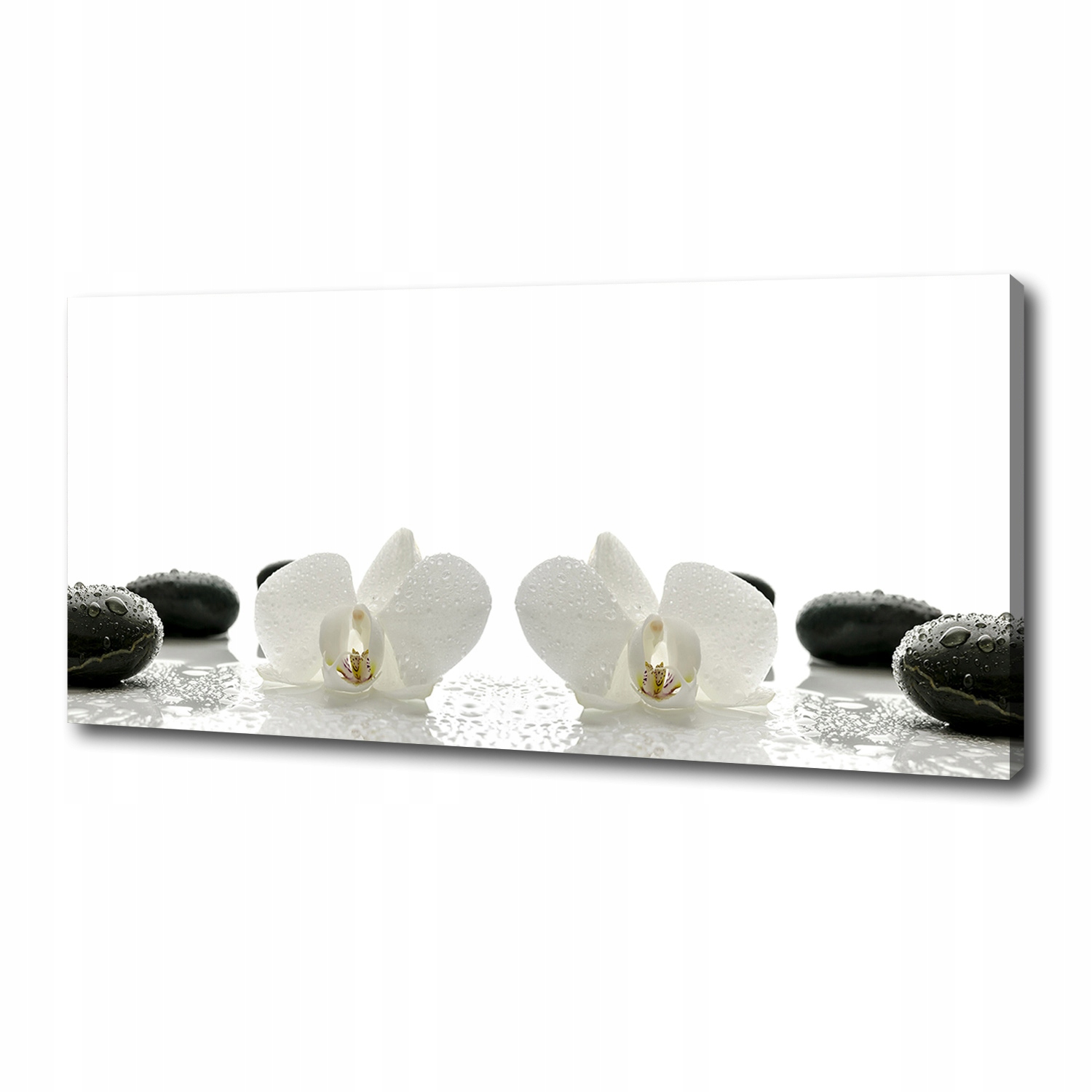 

Foto obraz canvas na ścianę Orchidea 125x50 cm