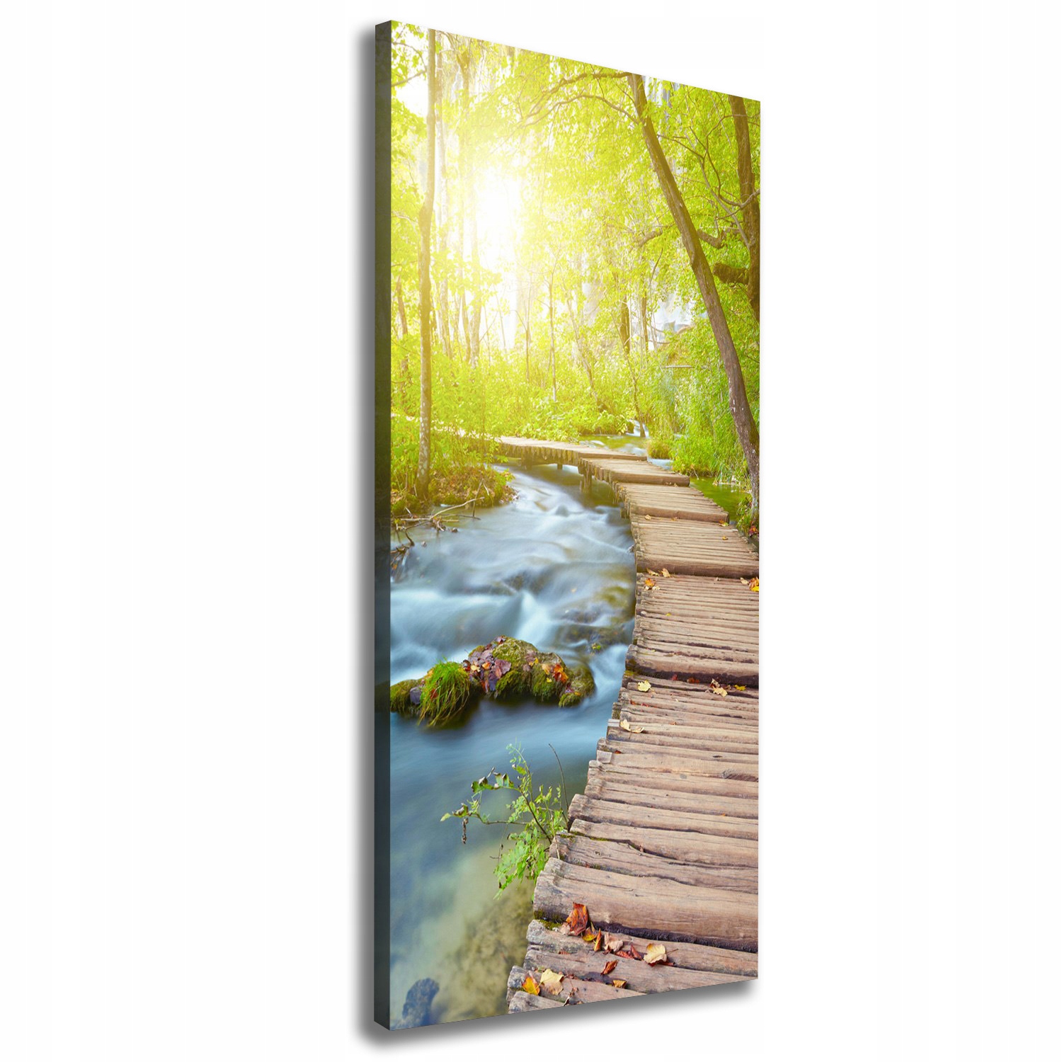 

Foto obraz na płótnie Ścieżka w lesie 50x125 cm