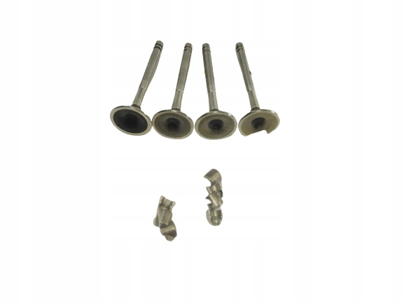 Клапани RENAULT R12 7700461802 7700462137