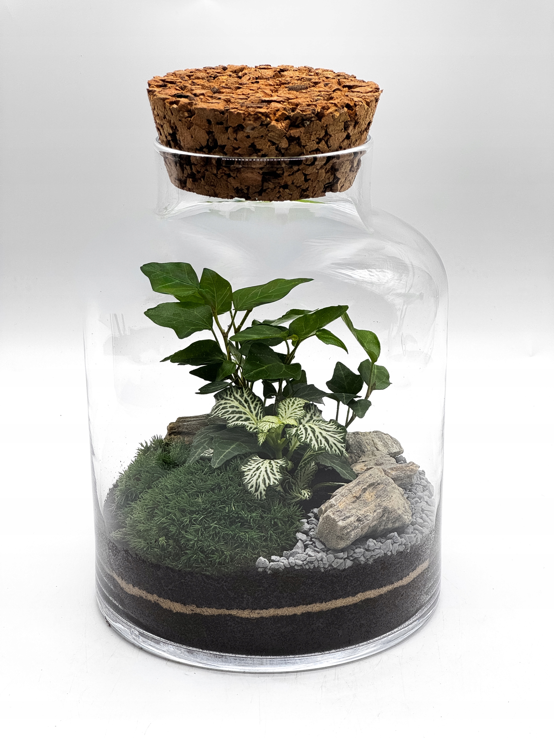 Les ve skle 21 cm – hotová kompozice s fytonií, břečťanem a mechem