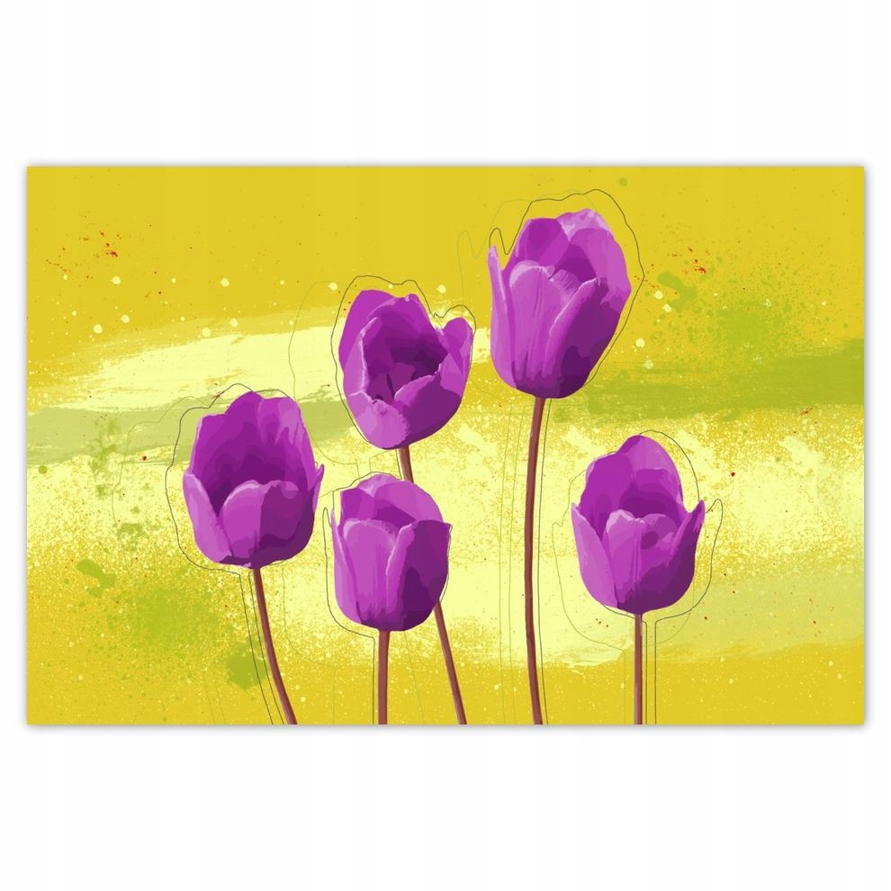 

Plakaty 60x40 Maki polne Miodowe tło