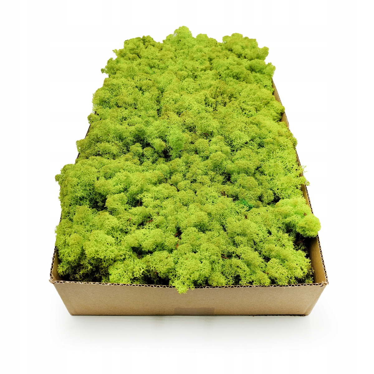 50g MECH CHROBOTEK reniferowy spring NORWESKI Marka inna