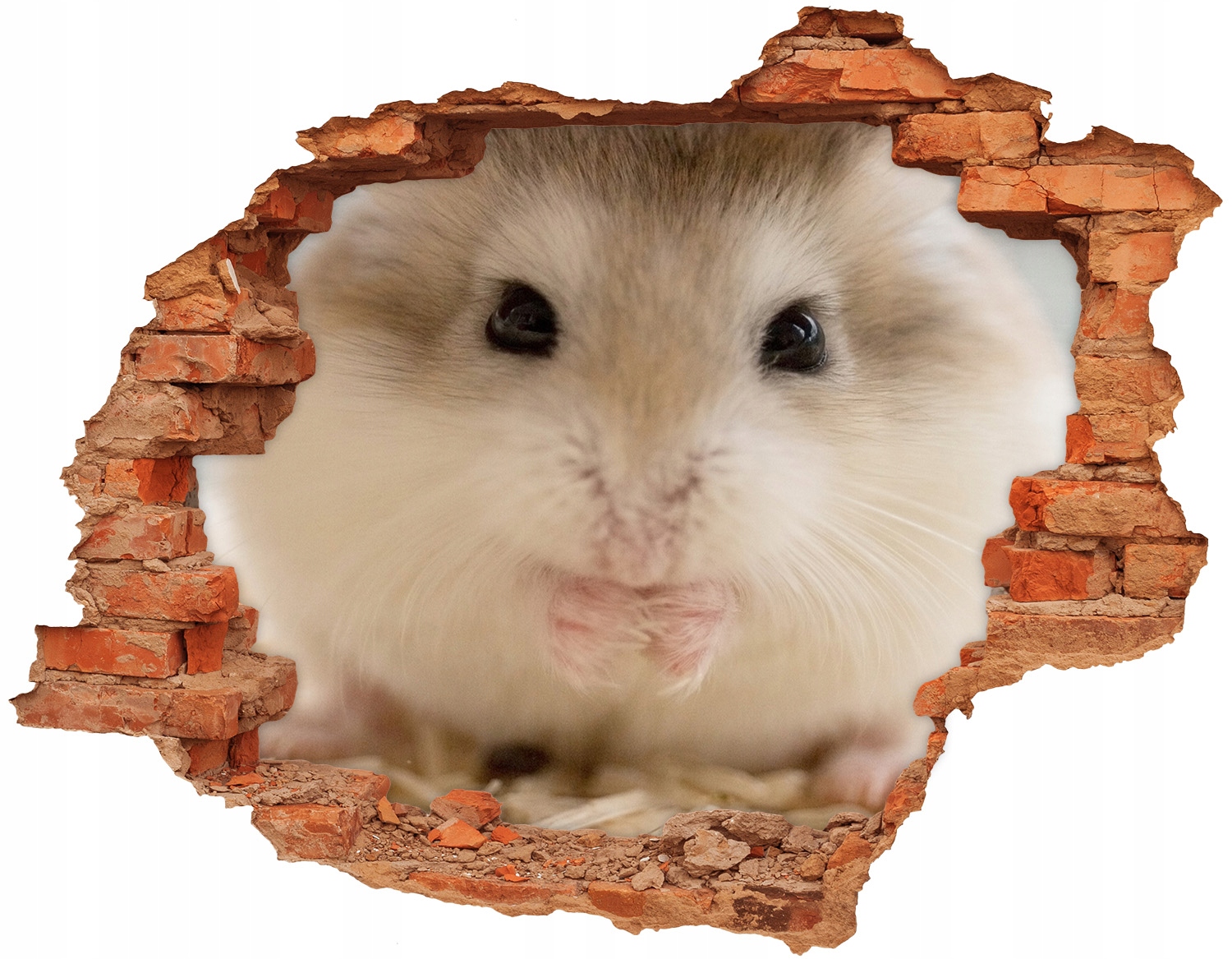 

Naklejka dziura 3d ozdoba na ścianę 120x93 Chomik