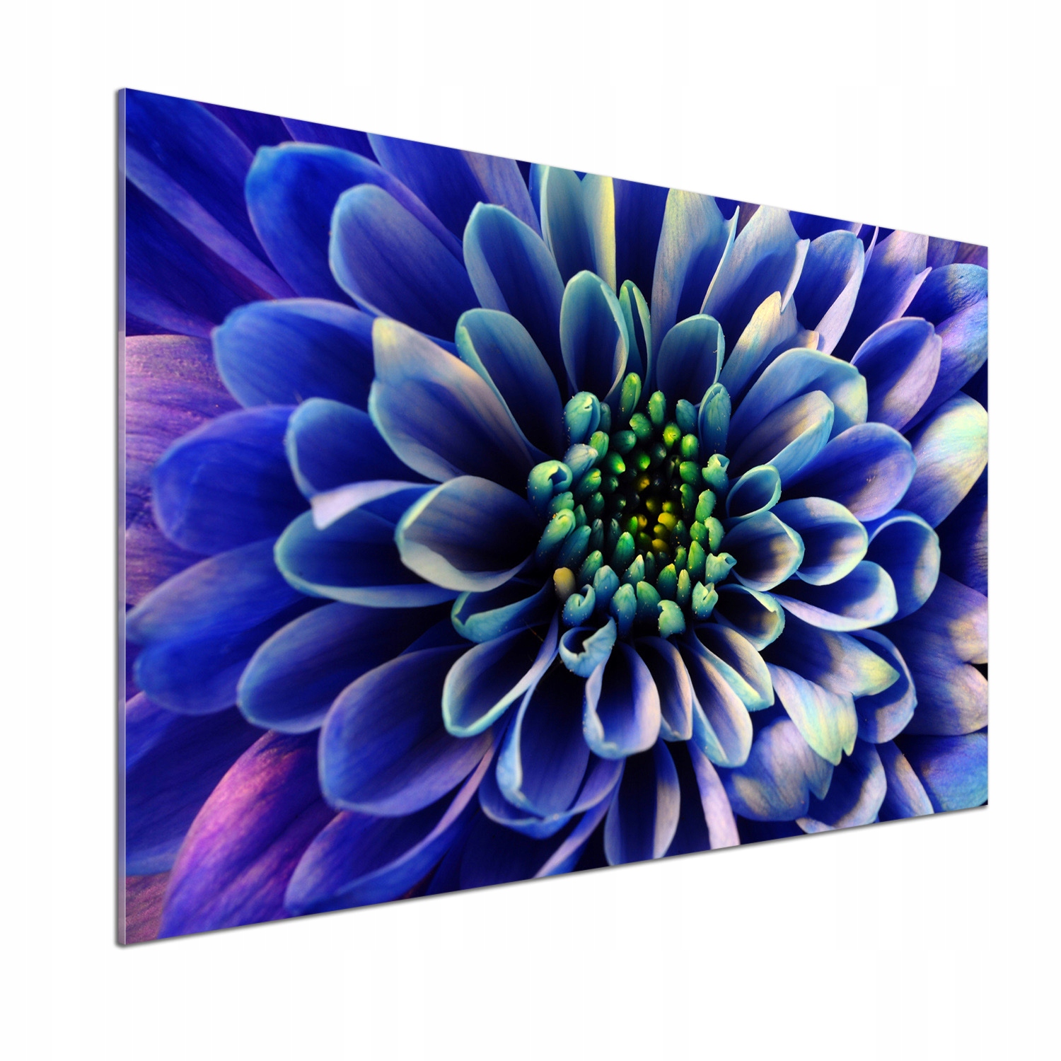 Skleněný panel do kuchyně Aster 100x70 cm Lepidlo