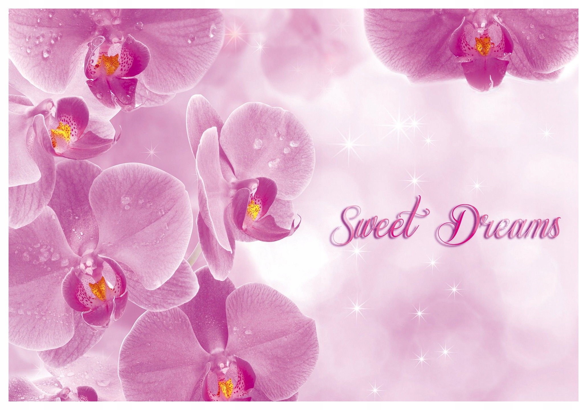 Vliesová fototapeta Ružové orchidey Sweet Dreams Rosa 368x254 lepidlo