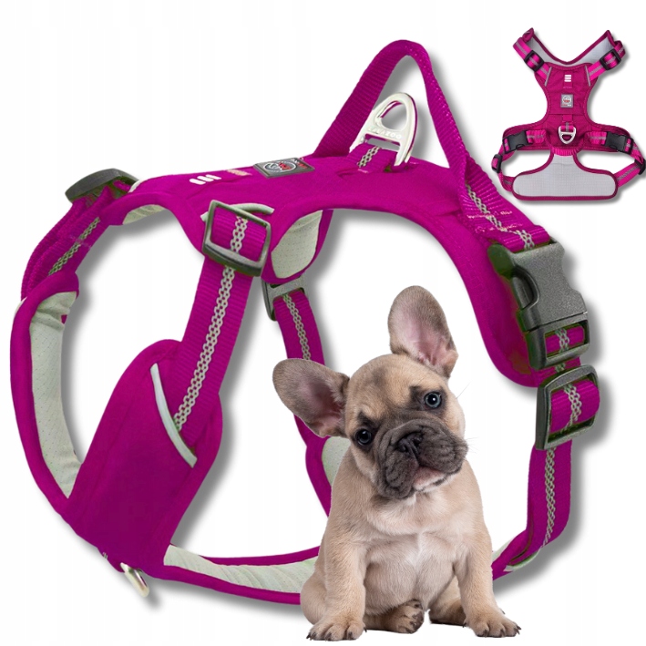 Levně Šle Guard pro psa Adventure silné nastavitelné pohodlné Premium purple M
