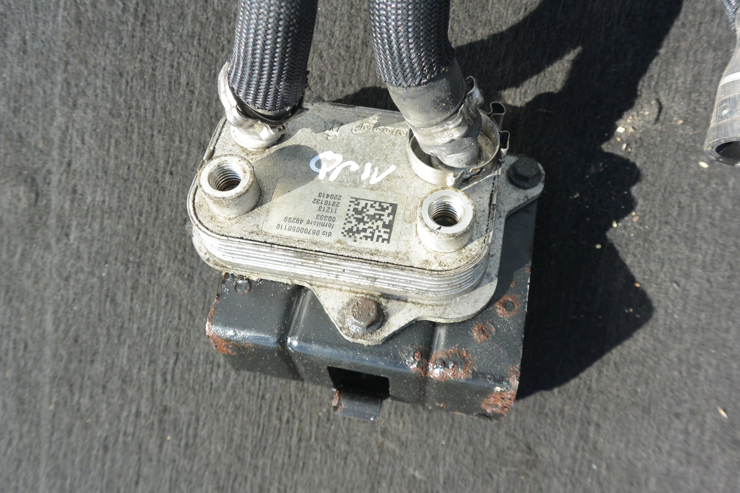 RADIATORE OLIO SERVOSTERZO QUATTROPORTE GHIBLI
