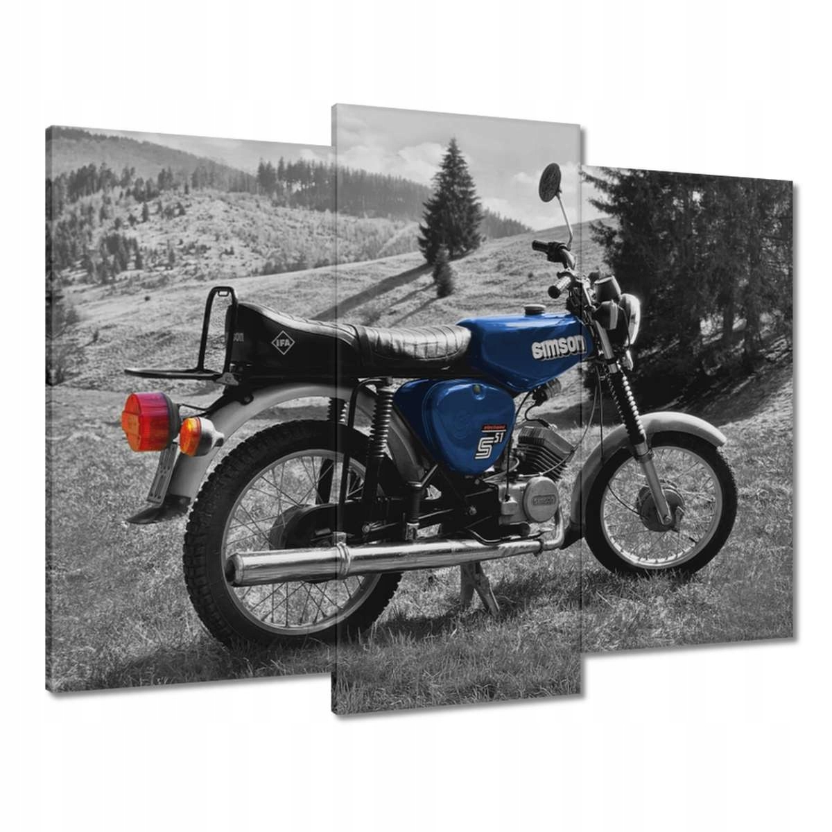 Obrazy 90x70 Modrý Simson S51