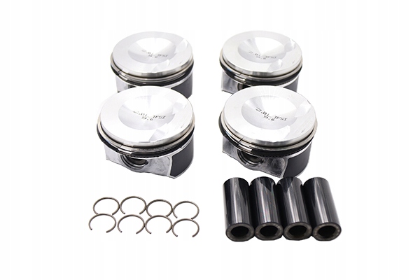 Комплект поршней Borsehung B18741