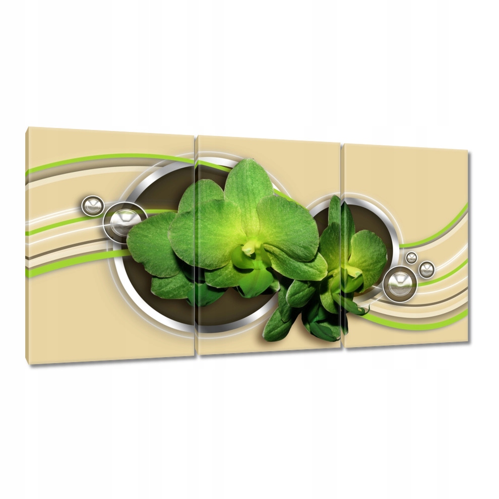 

Obrazy 120x60 Zielona orchidea