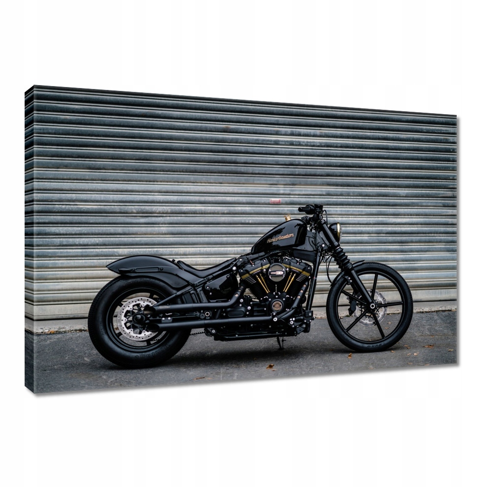 

Obraz 90x60 Harley Davidson Motor