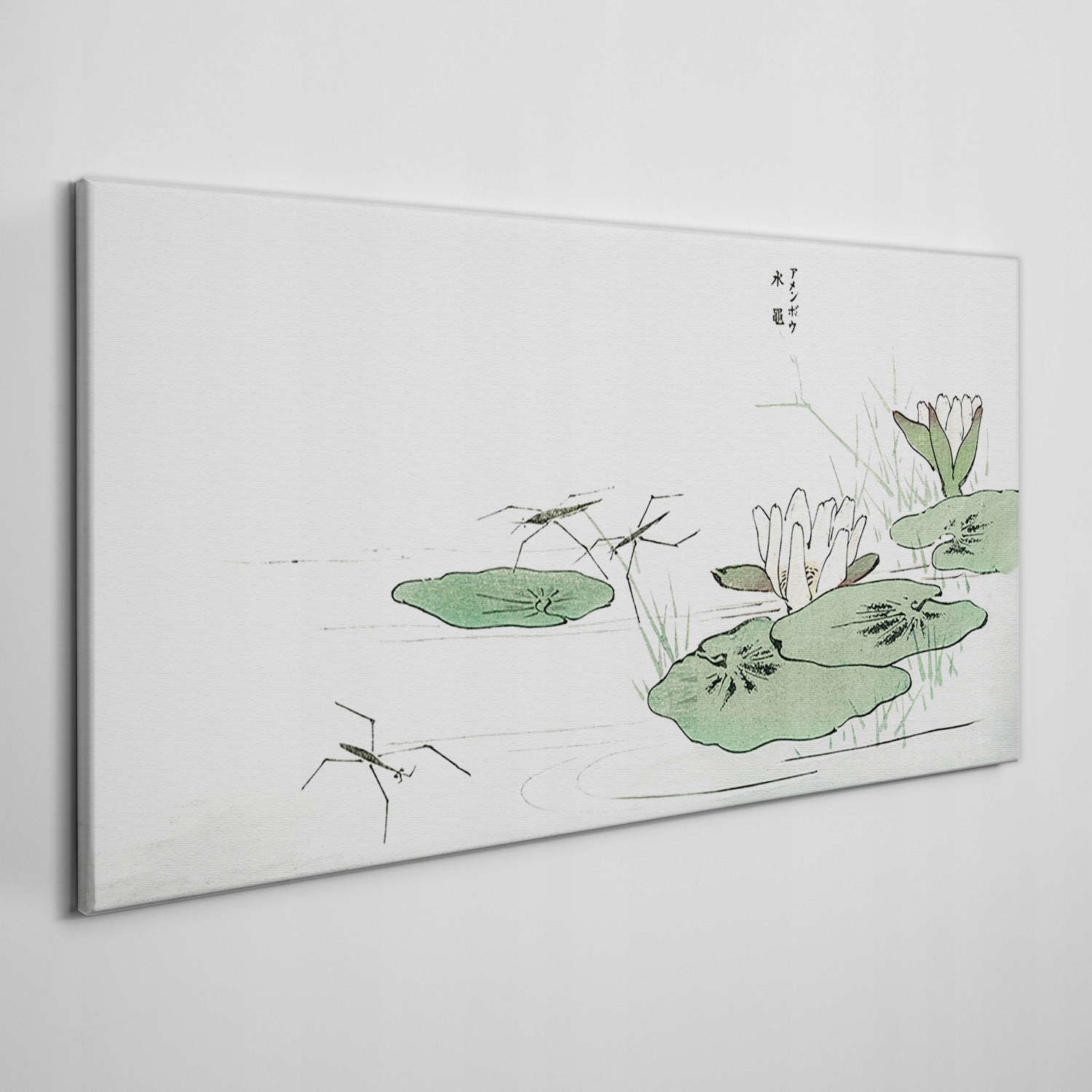 

Obraz na płótnie Liście jezioro owady 120x60 cm