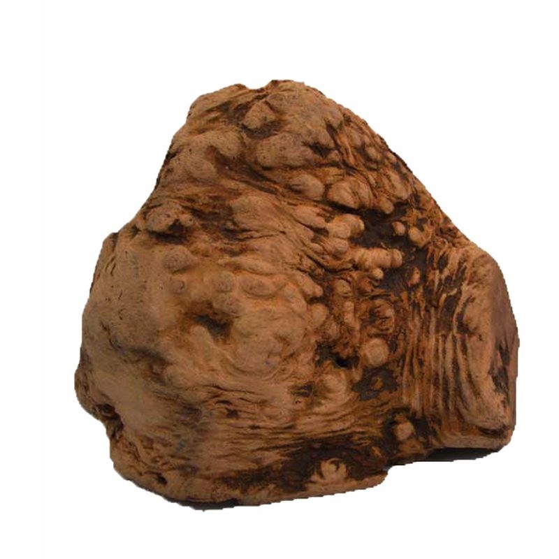 Levně Žvýkací kořen Chewies , L 1 ks