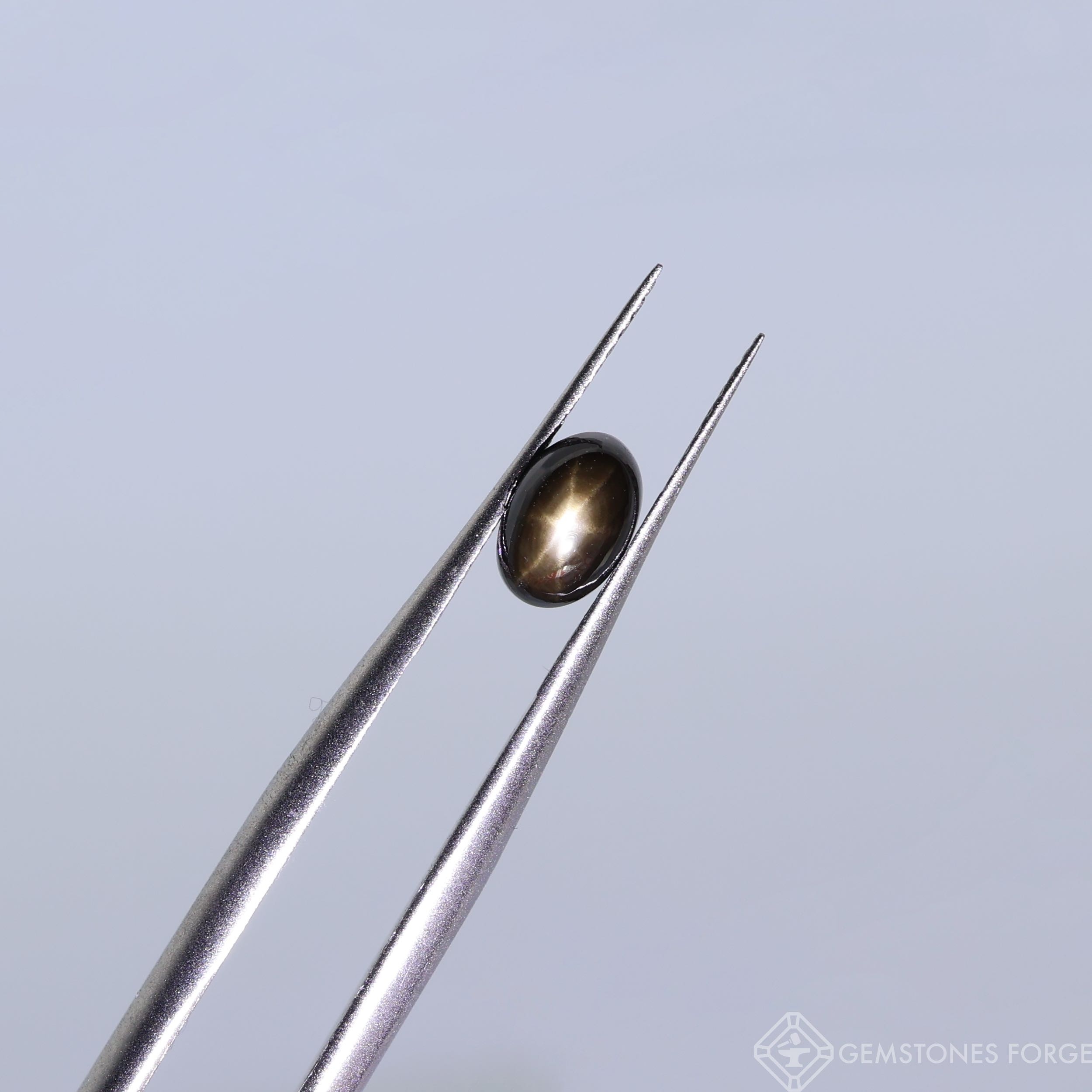 Přírodní černý hvězdicový safír, Ovál 6 x 4 mm