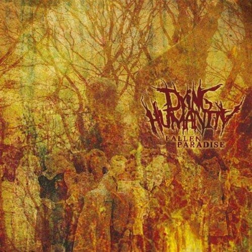 ゴアグラ Last Days of Humanity アルバムセット Amazon.co.jp: Putrefacation in Progress: ミュージック