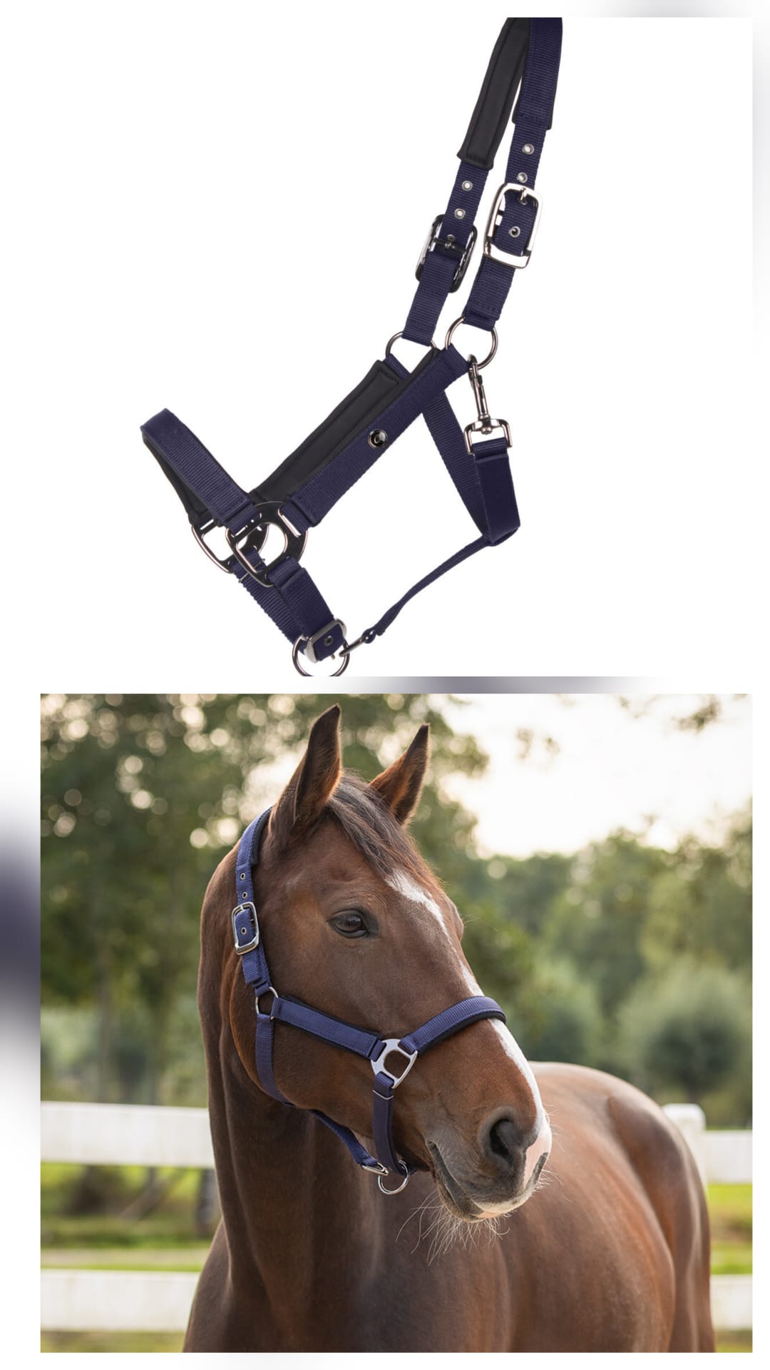 Kantar źrebięcy Deluxe z podwójną regulacją Qhp granatowy Foal 04