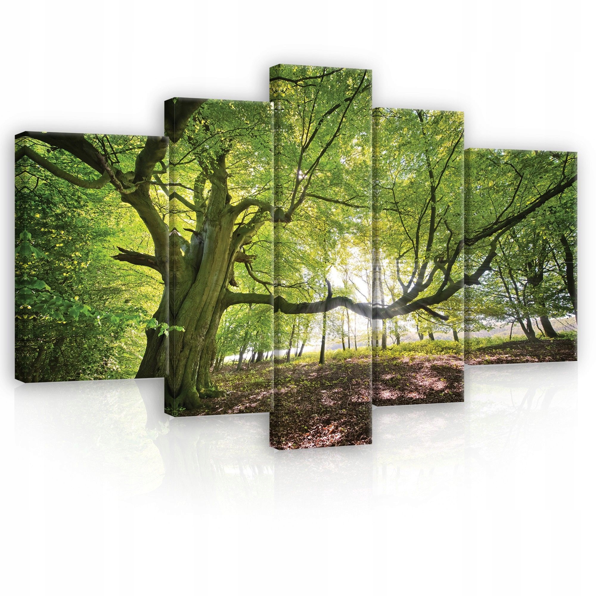 Obraz 170x100 Les strom slnečné lúče príroda pokoj harmónia zelená