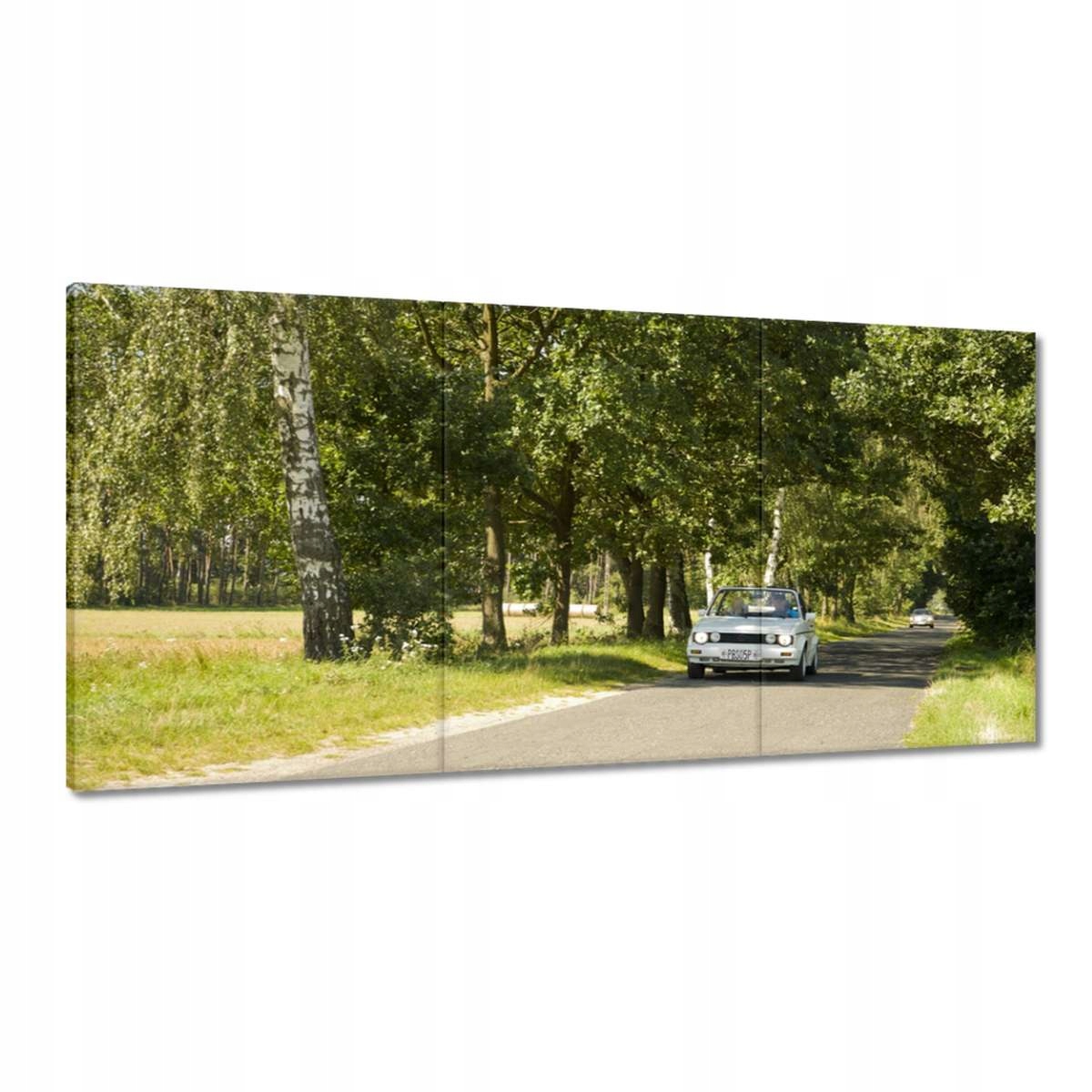 Obrazy 180x90 Golf I 1 VolksWagen