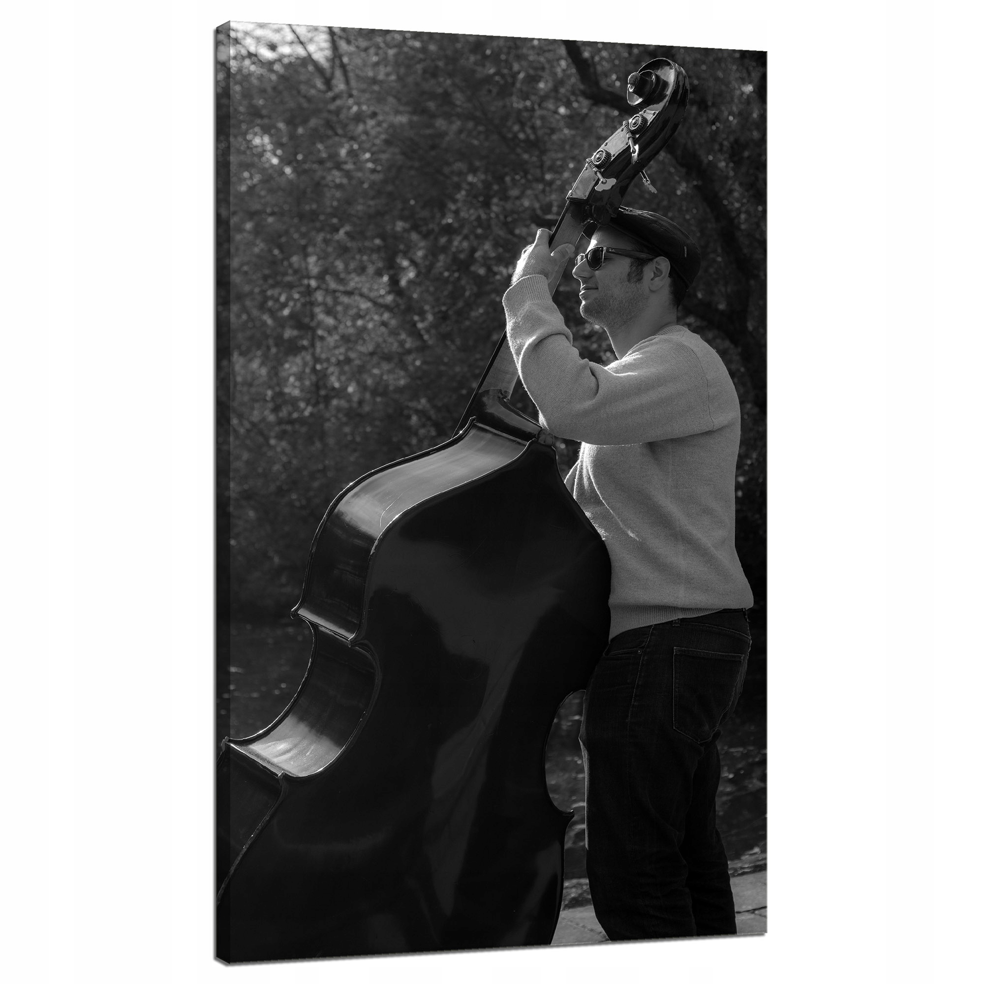 Obraz na plátně Hudba Hudebník kontrabas Nástroje 70x120 cm