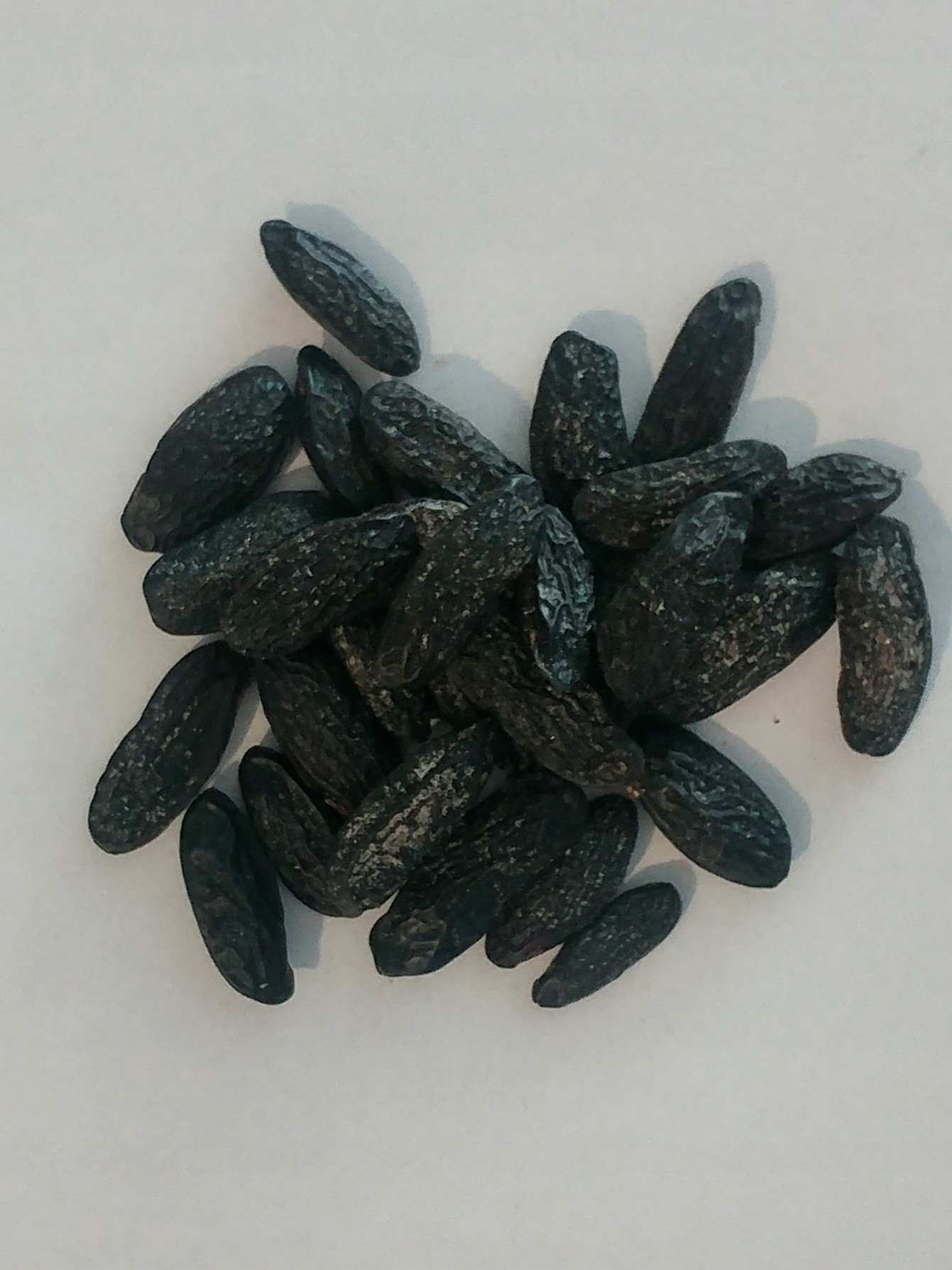 Levně Bob Tonka Vanilkovo-midgálová příchuť po mletí na koláče, dezerty 1 kg Rafex