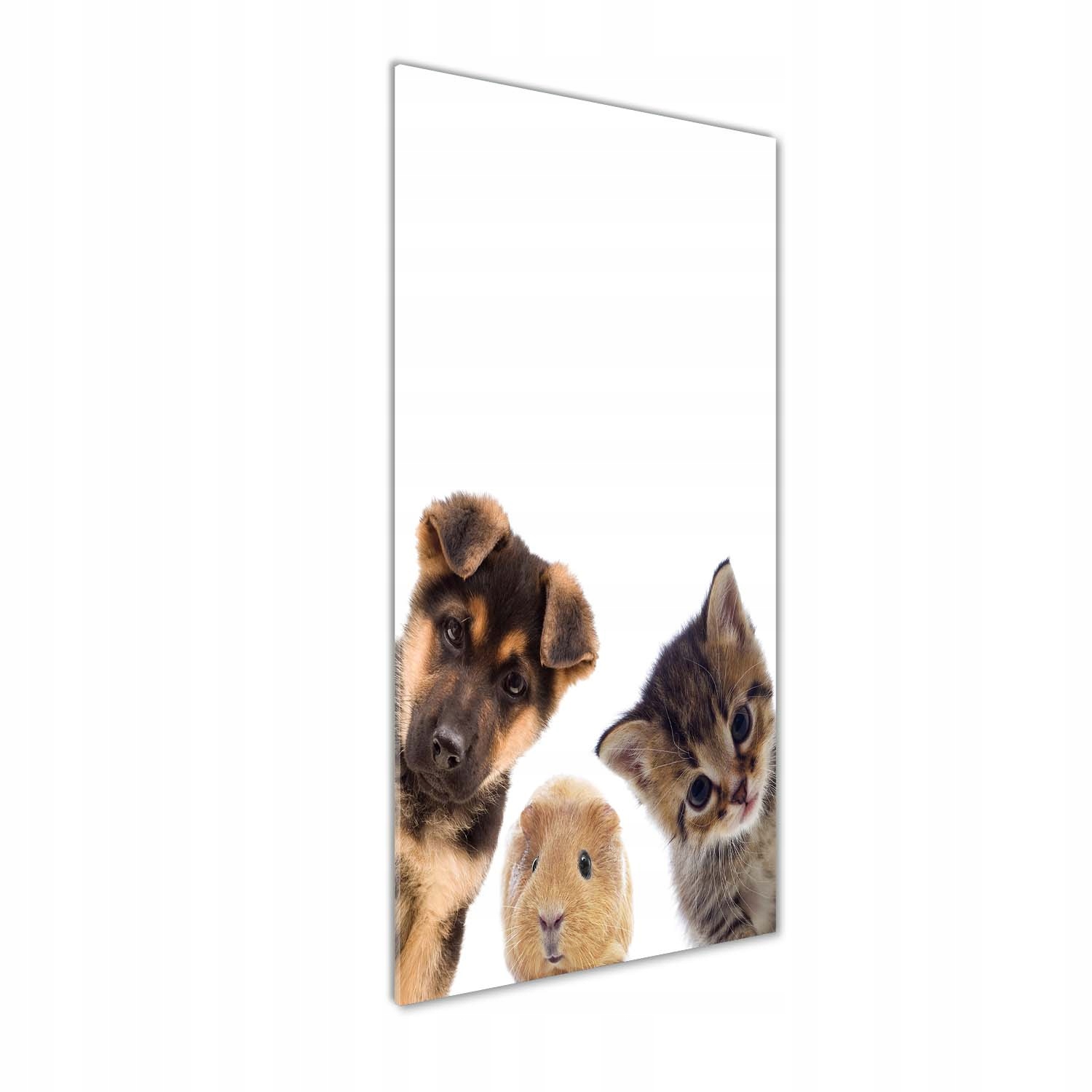 Skleněný vertikální obraz Domácí zvířata 50x125