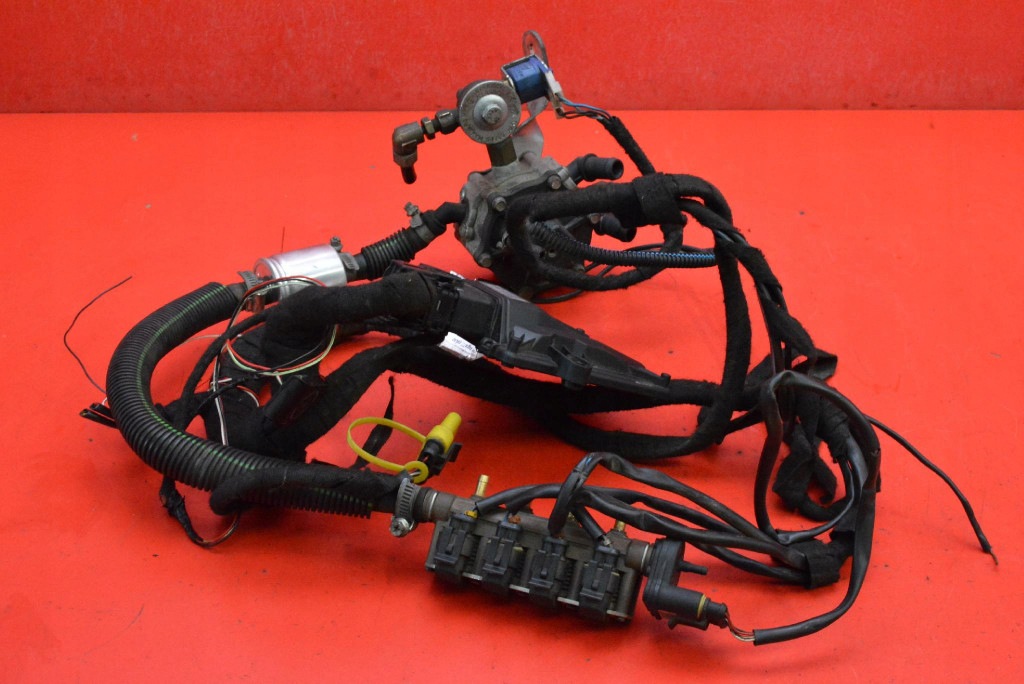 complète câblage gaz 67R-014903 STAG-4